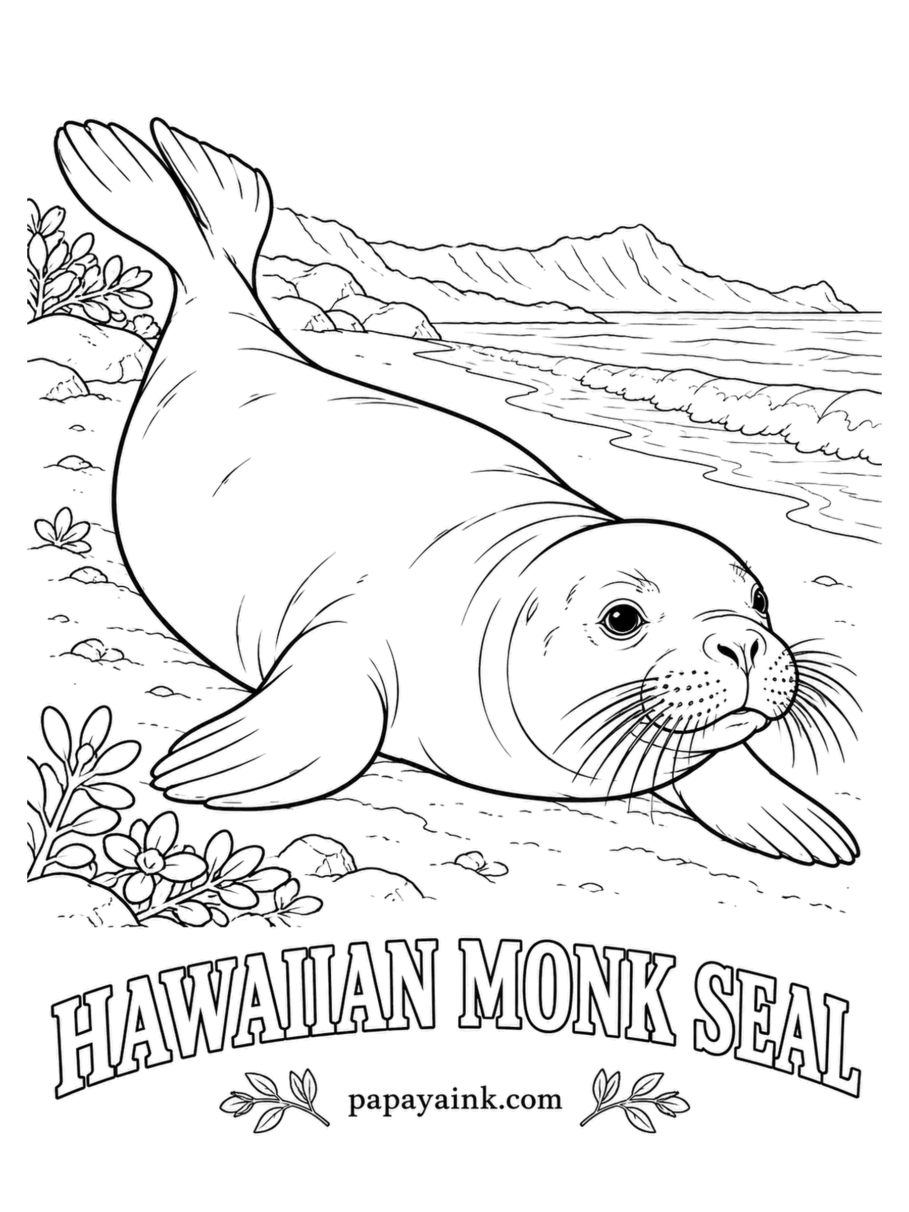 Sea Creature Coloring Pages - The Hawaiian name means dog that runs in rough water, and the face explains why. One of the rarest seals anywhere, it still basks on quiet island beaches. Silvery gray on the back fading to cream underneath, with the mountains in soft blue behind.