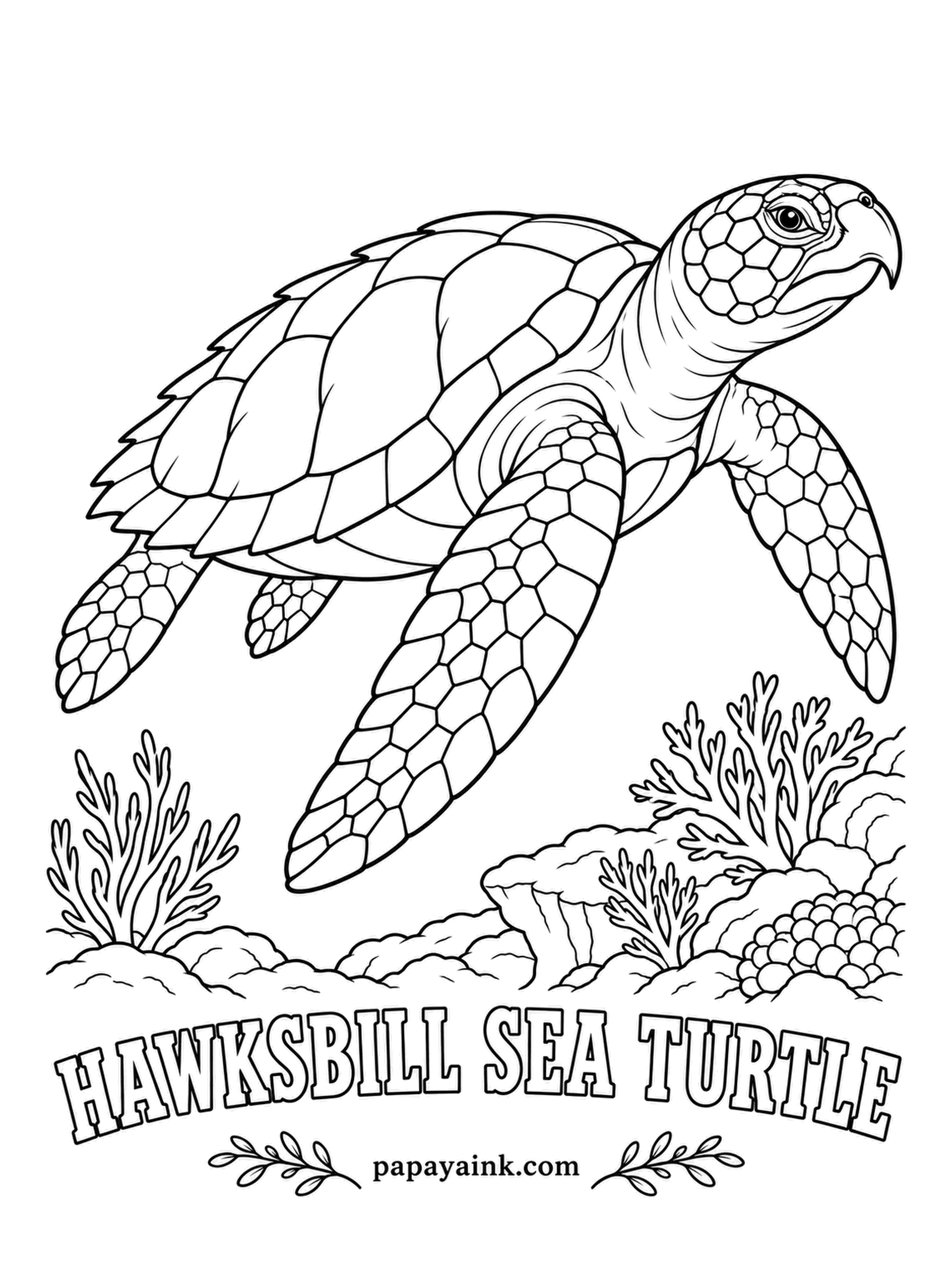 Sea Creature Coloring Pages - Look closely at the beak: narrow and hooked, built for prying sponges out of reef cracks, a menu almost nothing else will touch. Its back plates overlap like roof shingles, which gives the rear edge its saw-tooth look. Amber with dark brown and gold flames.