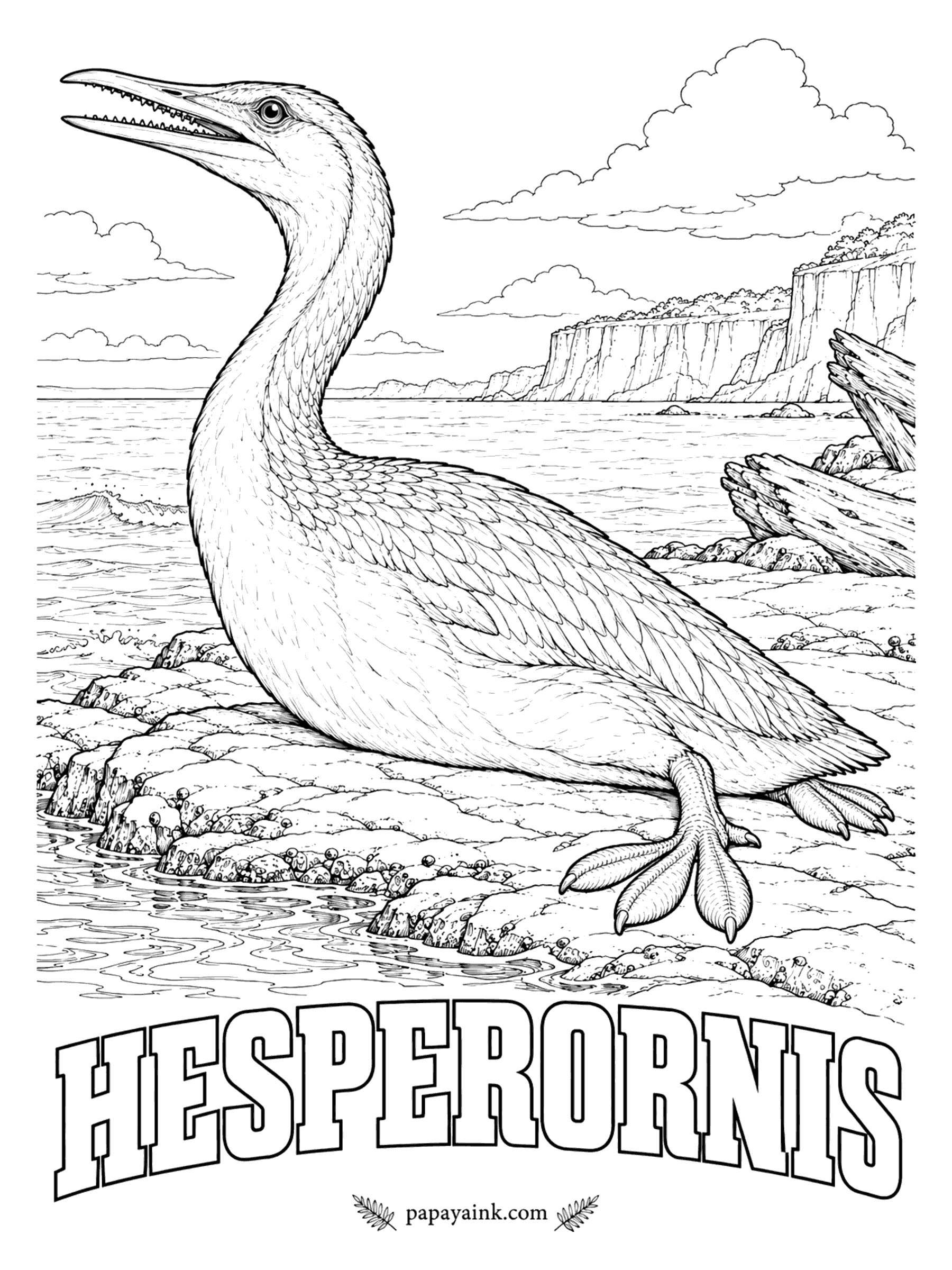 Free Printable Dinosaur Coloring Pages - Picture a bird with teeth that could not fly and was clumsy on land: it lived at sea like a giant loon, driving itself with its feet. Hesperornis (HES-per-OR-nis, western bird) was about 6 feet long with tiny stubs for wings. It fished the shallow sea that once covered Kansas, about 80 million years ago.
