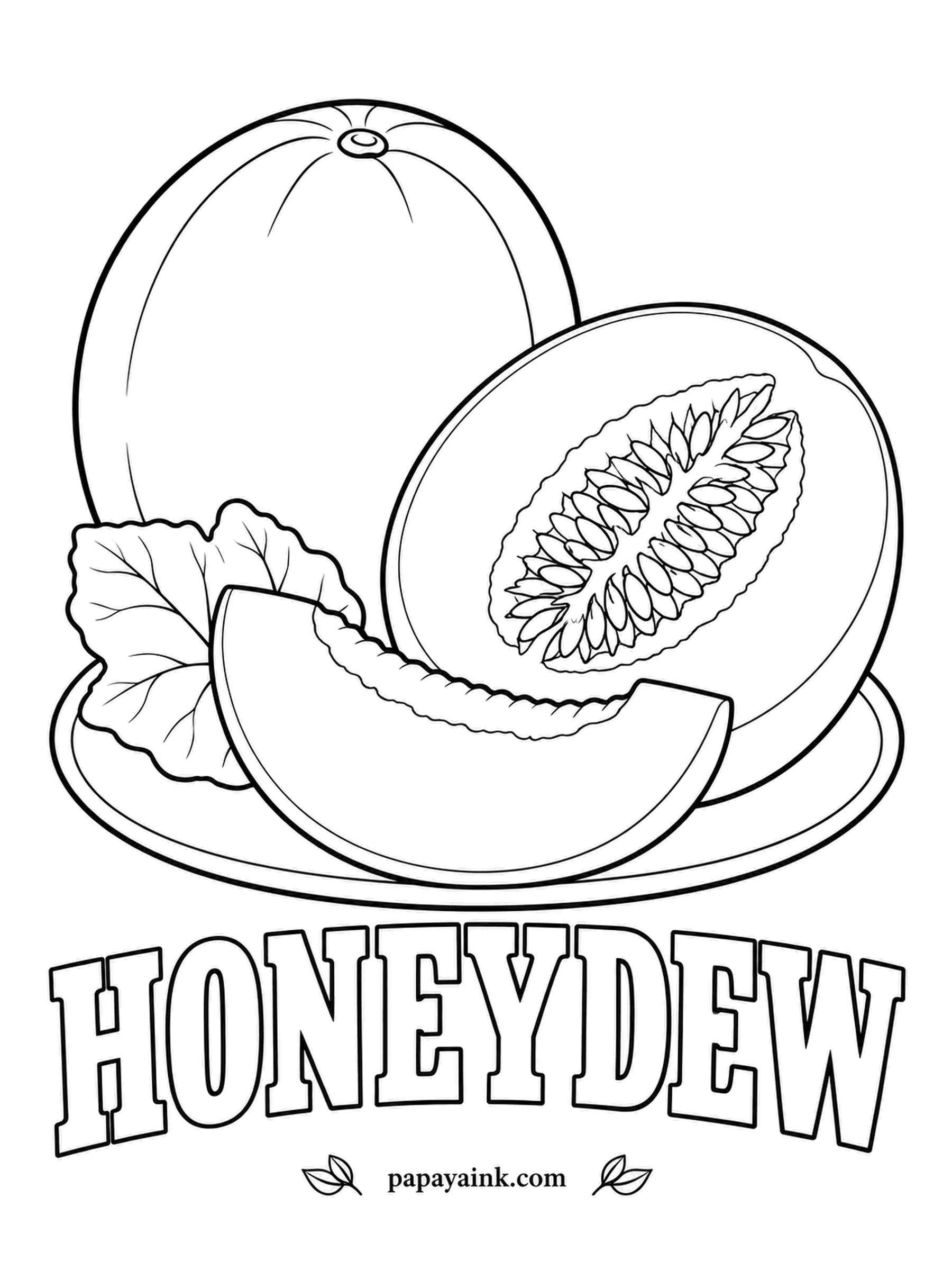 Printable Fruit Coloring Pages - Honeydew with a wedge and a half, the seed cavity drawn seed by seed. Smooth cream-to-pale-yellow rind outside, and inside the soft green that gives the melon its name - no stripes, no netting.