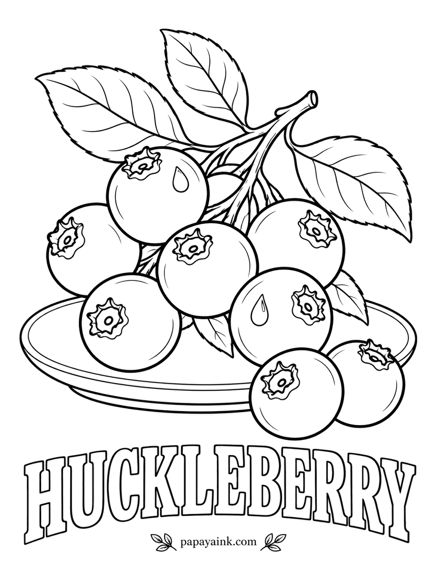 Printable Fruit Coloring Pages - Huckleberries look like blueberries but almost all of them are picked wild in the mountains of the Northwest, not grown on farms. Darker than a blueberry, from deep purple to near black, with less of the dusty bloom.