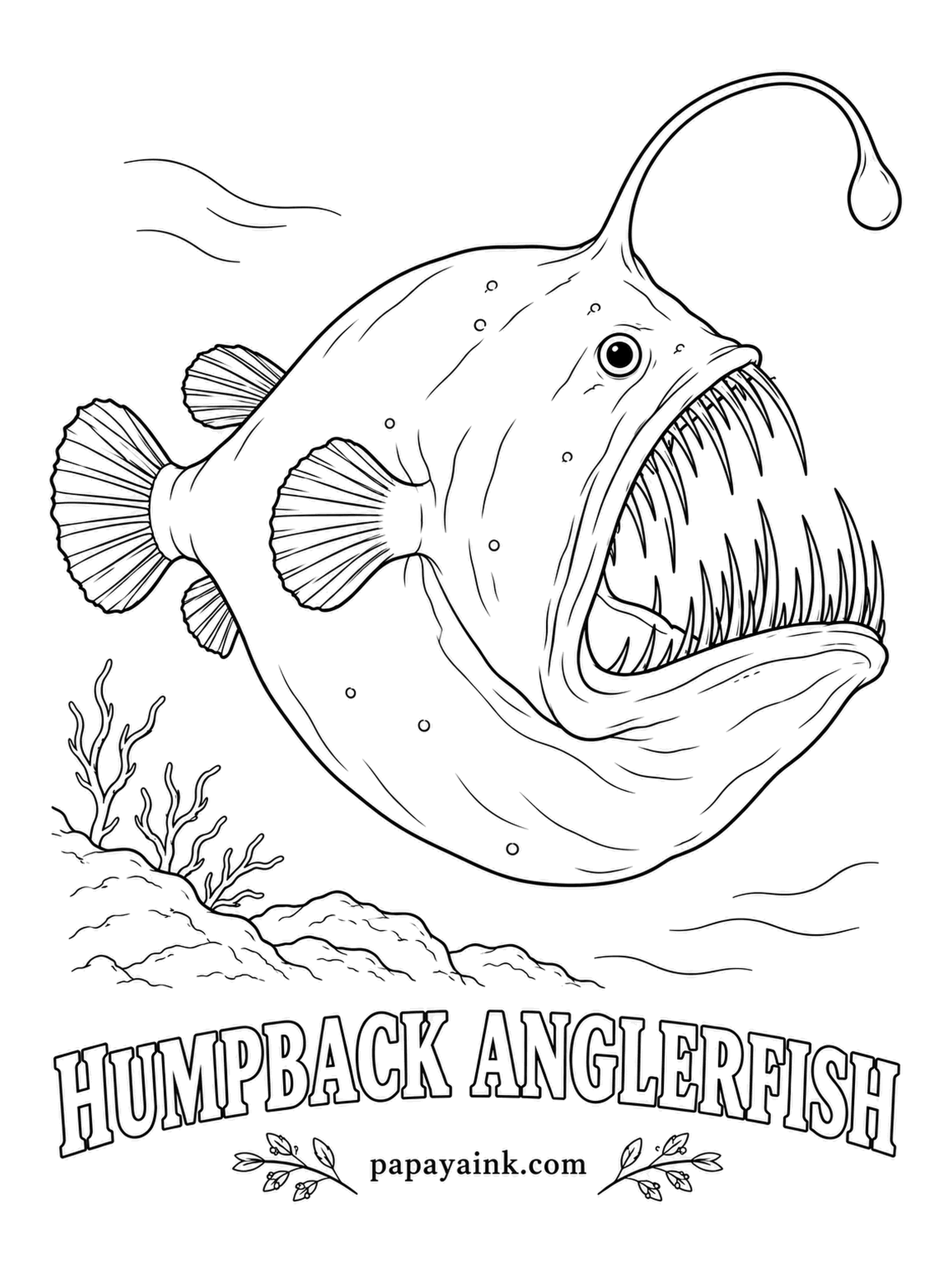 Ocean Fish Coloring Pages - Down where sunlight never reaches, the tip of this lure glows with light made by bacteria living inside it. Prey swims toward the light and straight into the jaws. Color the body black or deep chocolate brown and leave the lure bright.