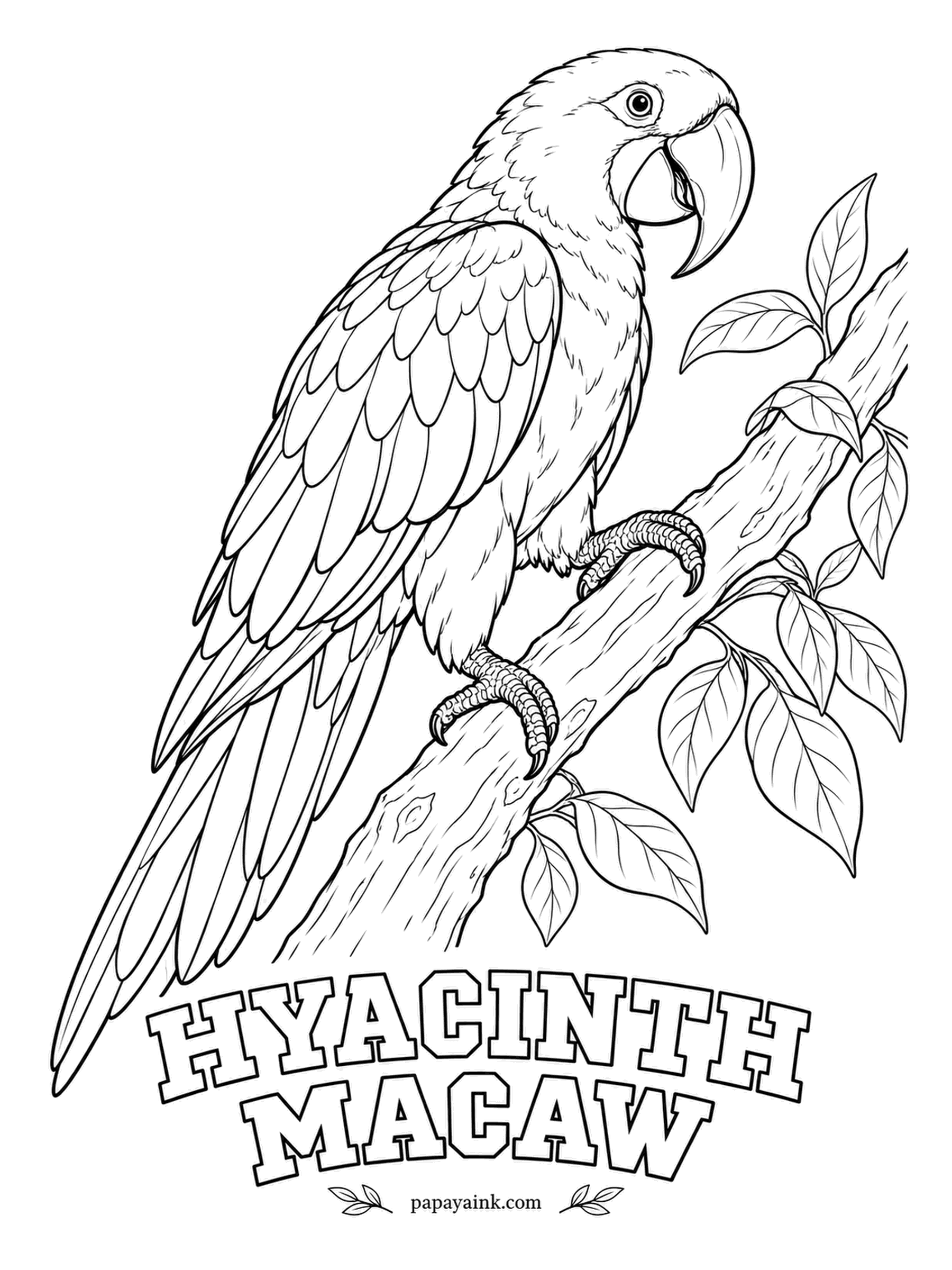 Realistic Bird Coloring Pages - Nearly a meter from beak to tail, the hyacinth macaw is the largest flying parrot, and it cracks palm nuts most people would need a hammer for. Cobalt blue all over, with rings of bright yellow skin at the eye and the beak.
