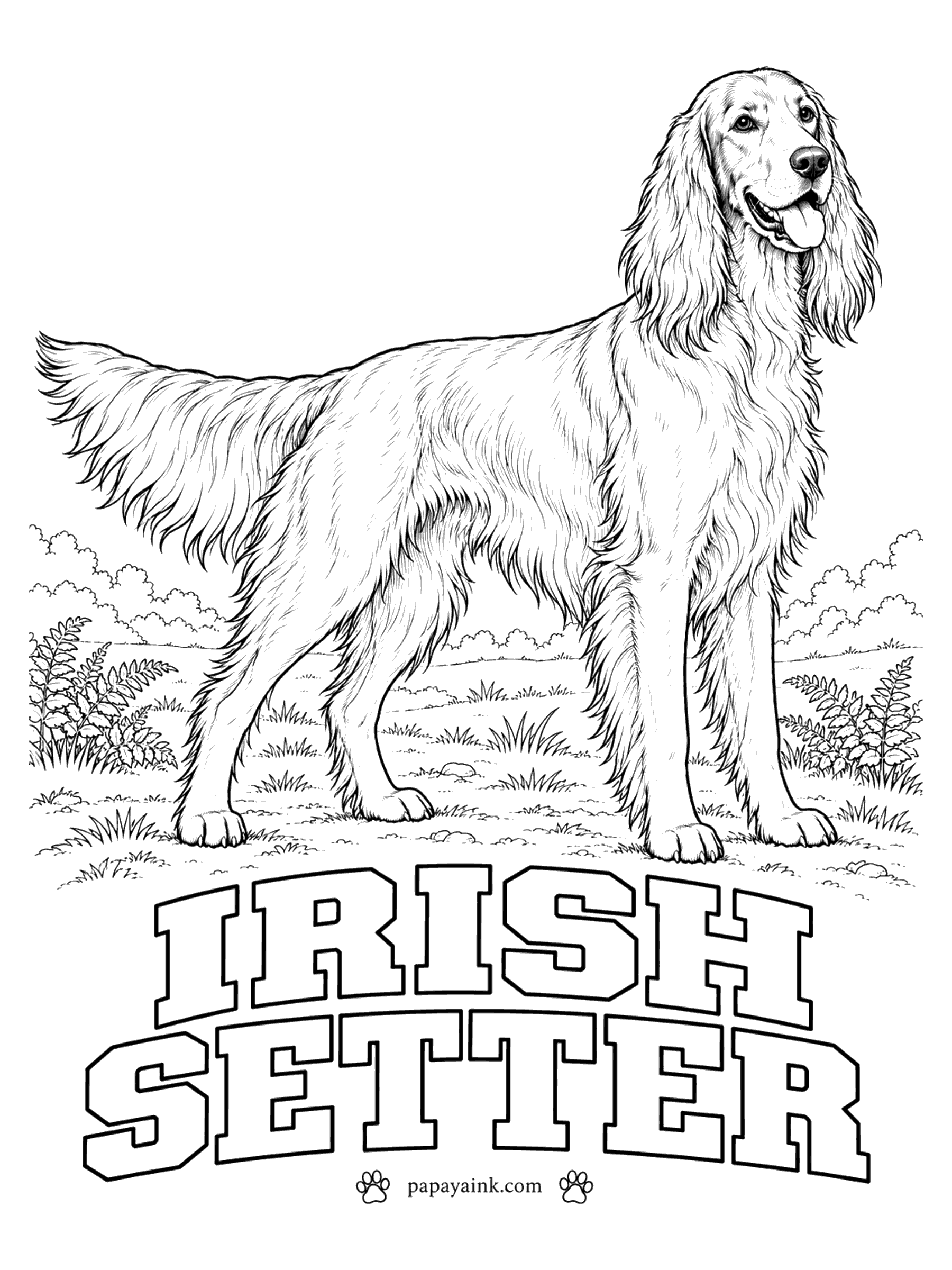 Free Printable Dog Coloring Pages - Mahogany or rich chestnut red, and no other color: the Irish setter is a one-coat dog. Work with two or three reds, darker along the back and lighter in the long feathering on the ears, chest, legs and tail.
