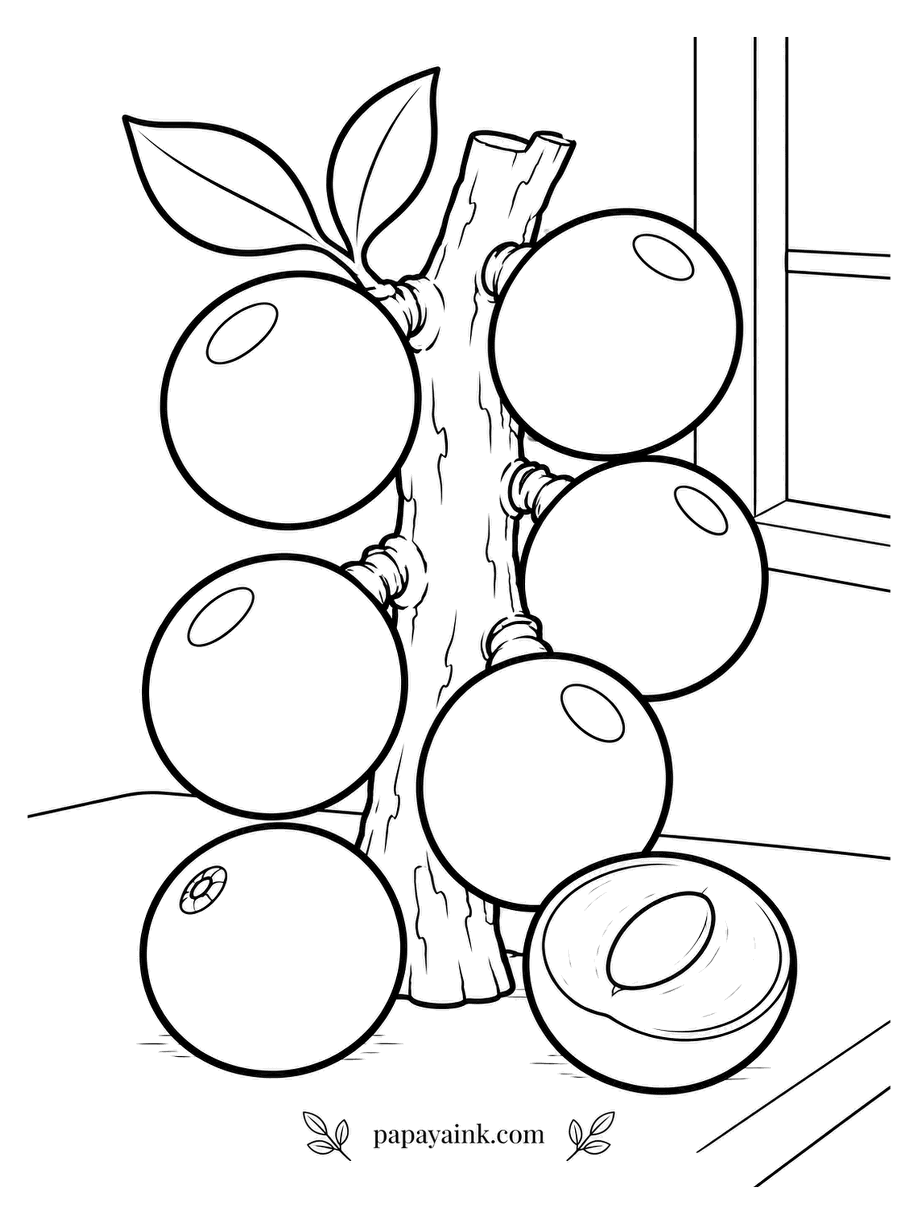 Fruit Coloring Pages - Jabuticaba skips the branches. The berries grow straight out of the trunk, so a tree in full fruit looks wrapped in dark marbles. This one stands by the window with one berry opened to the white flesh. Inky purple-black skins with a white highlight left blank on each.