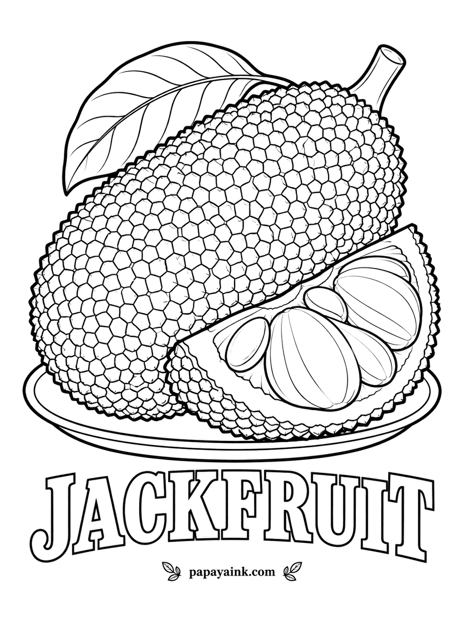 Printable Fruit Coloring Pages - No tree fruit grows bigger than jackfruit, and a single one can outweigh a toddler. Green bumpy rind drawn cell by cell, golden yellow pods inside. Detailed - keep a sharpener nearby.