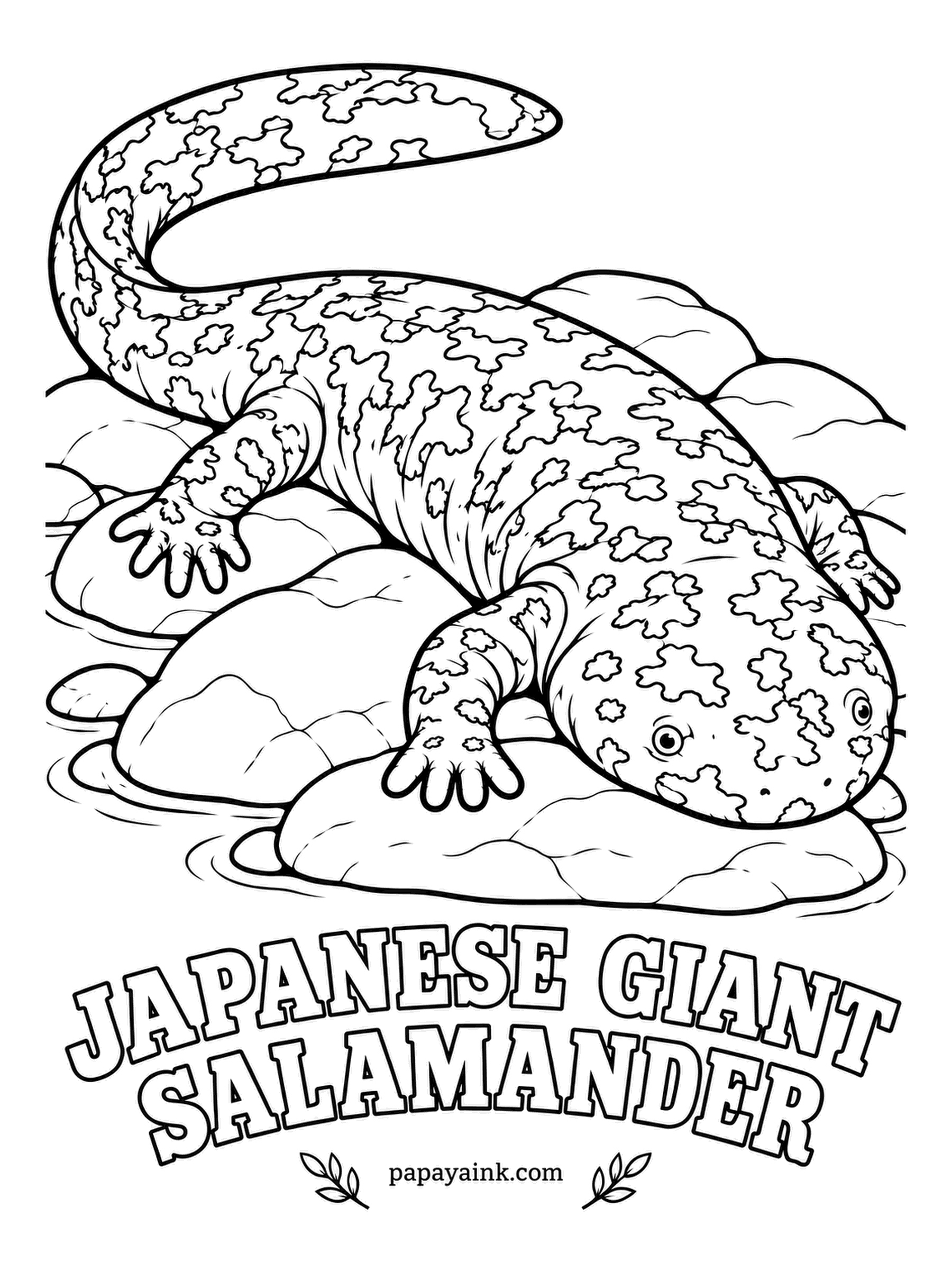 Amphibian Coloring Pages - As long as a grown man is tall, the Japanese giant salamander can live for more than fifty years in cold mountain streams. In Japan it is called the giant pepper fish, because it smells peppery when disturbed. Mottled brown and black, wrinkled skin. Detailed.