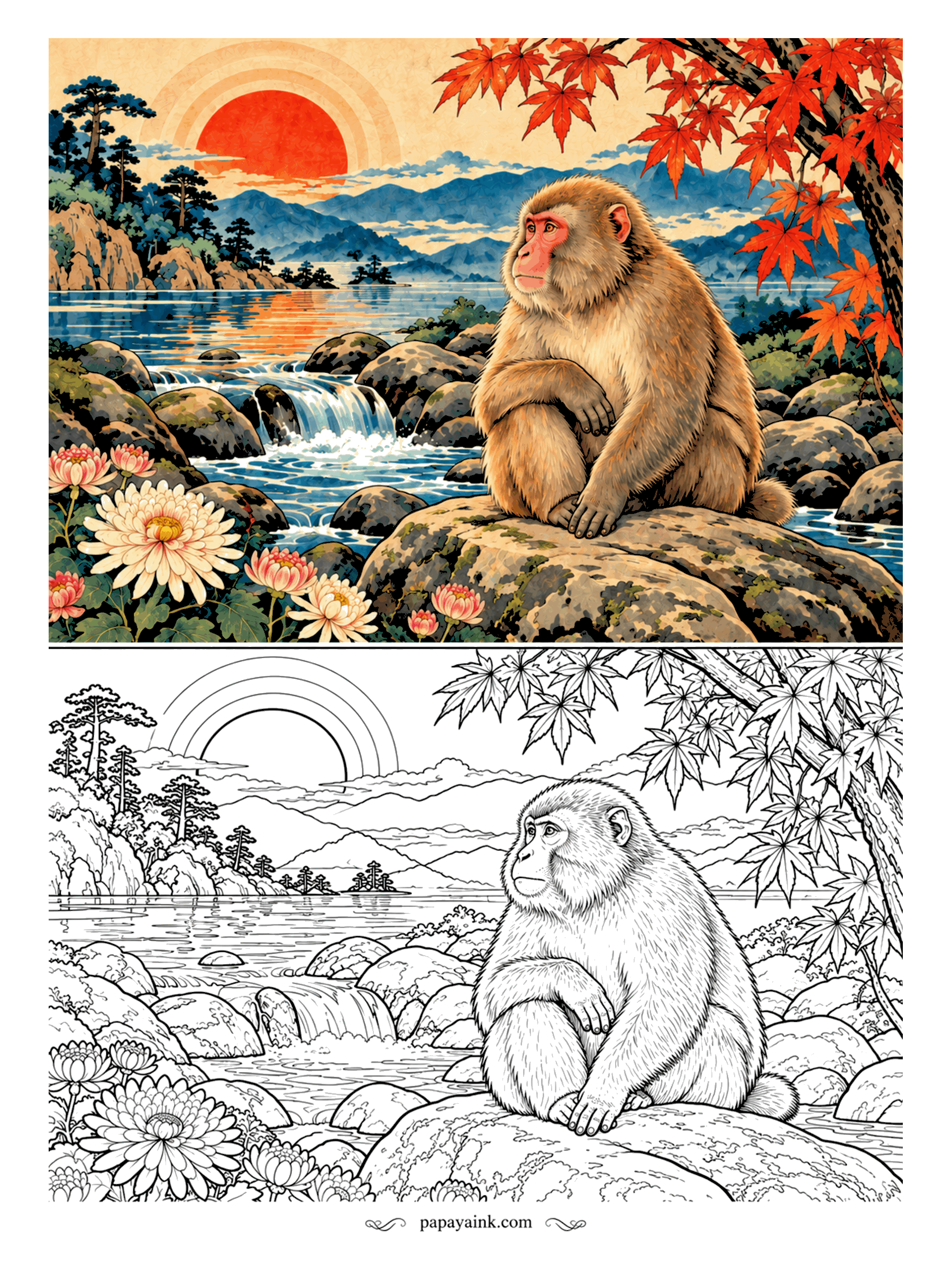 Monkey Coloring Pages - Japanese macaques are famous as snow monkeys, but this one has picked an autumn afternoon instead. He rests on a mossy boulder under red maple leaves. Golden brown fur, a pink-red face. Detailed.