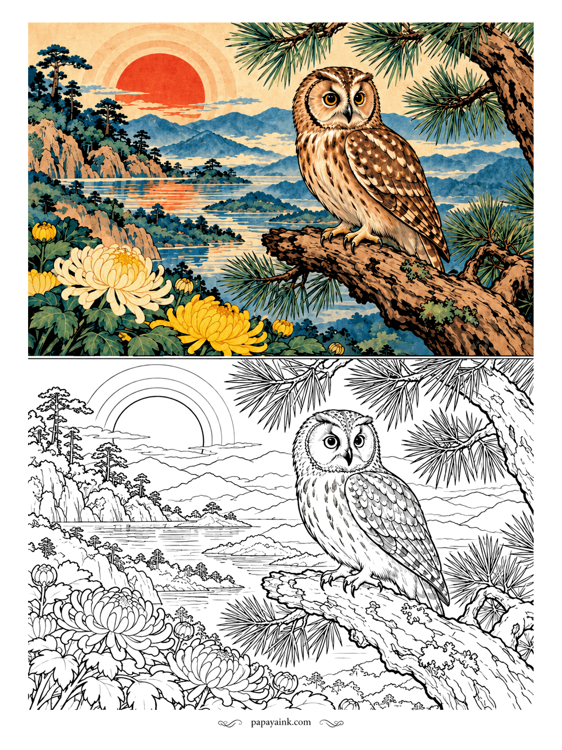 Owl Coloring Pages - Perched on a twisted pine, the owl watches the evening come in over the islands, yellow chrysanthemums glowing at her feet. Streaked brown and buff down the breast, darker bars across the wings. Detailed.