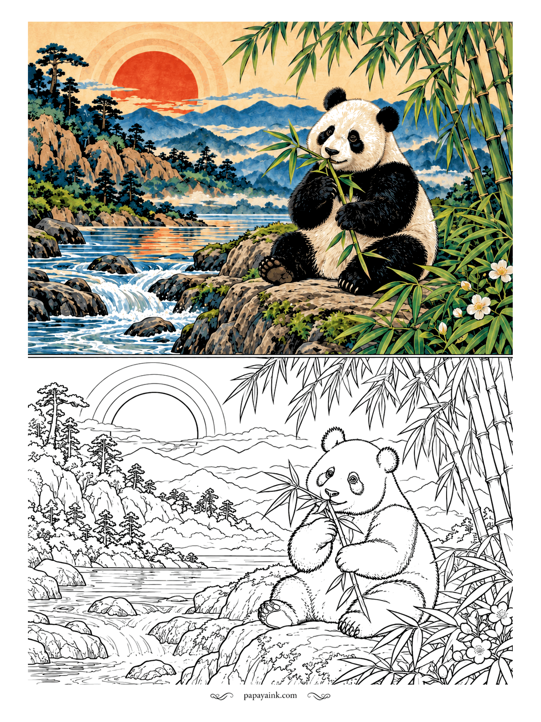 Panda Coloring Pages - Bamboo for breakfast, a river for background noise. The giant panda sits on a rock above the rapids, a fresh stalk in both paws. Black legs, shoulders, ears and eye patches; everything else stays cream.