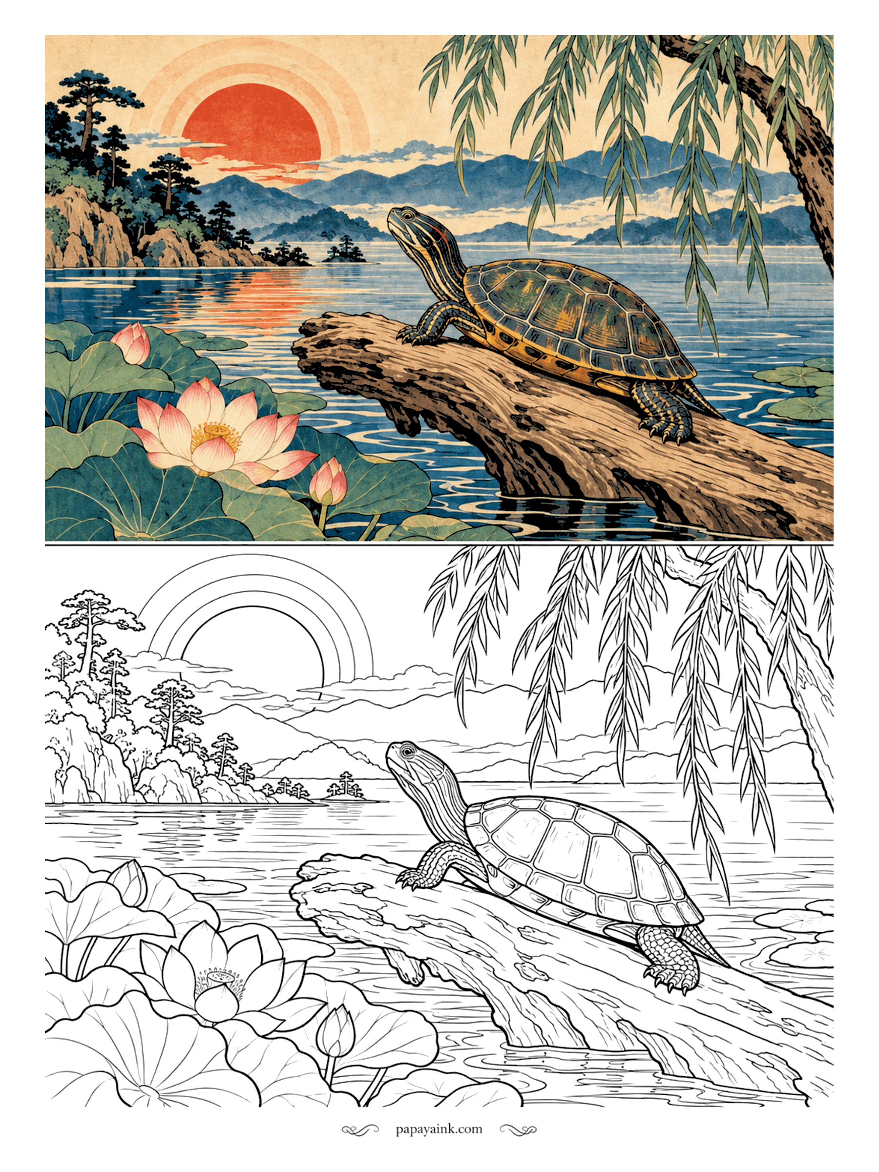 Turtle Coloring Pages - A willow log, heated by the sun, and nobody else on it: the pond turtle has claimed the best seat around. Lotus blooms open just below her. Olive and amber for the shell, one plate at a time. Detailed.