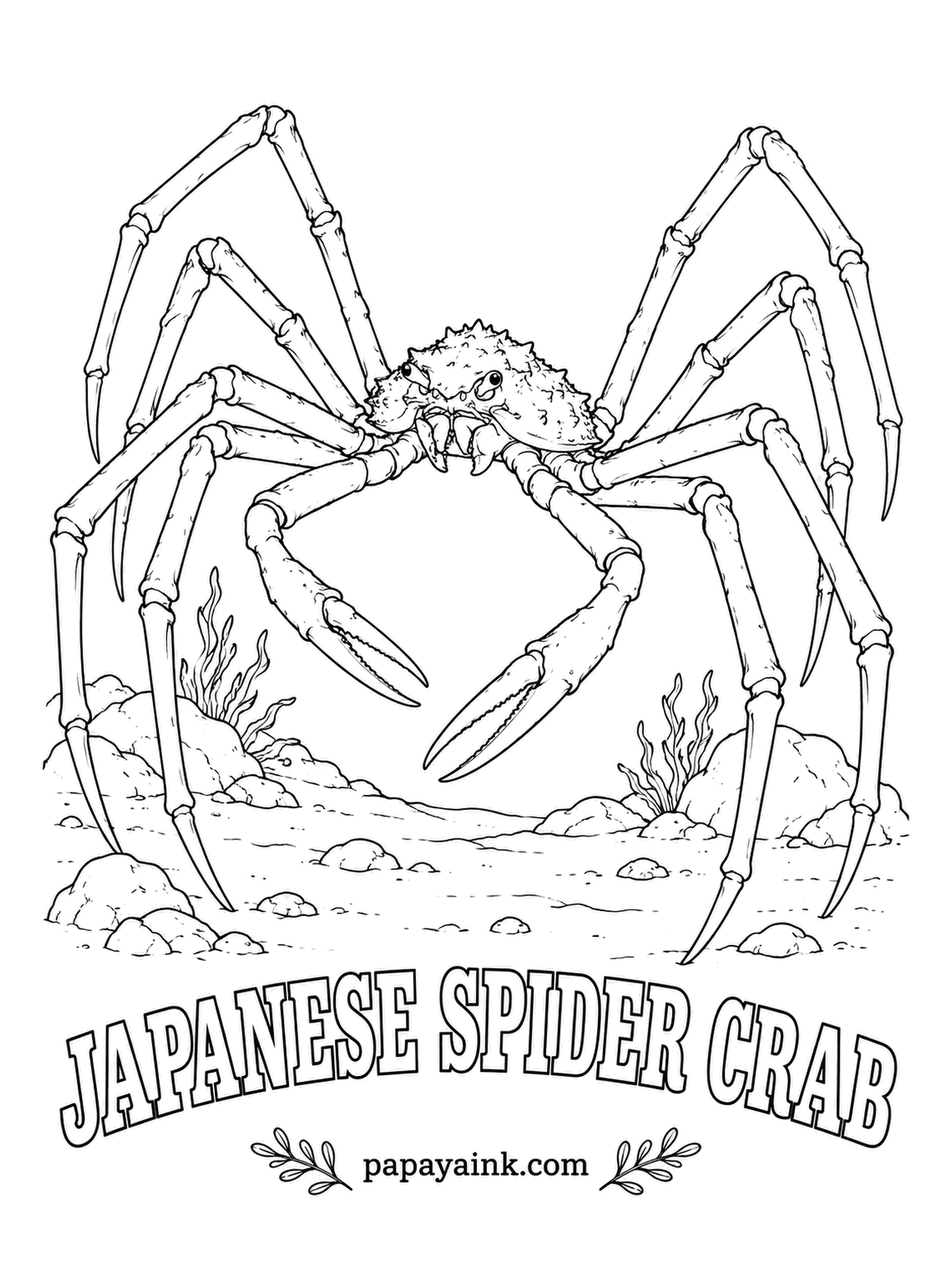 Sea Creature Coloring Pages - Measured tip to tip, its legs reach about as far as a small car is long - the widest span of any arthropod alive. The body itself would fit on a serving tray. Orange legs with white speckles, and a knobby, warty back.