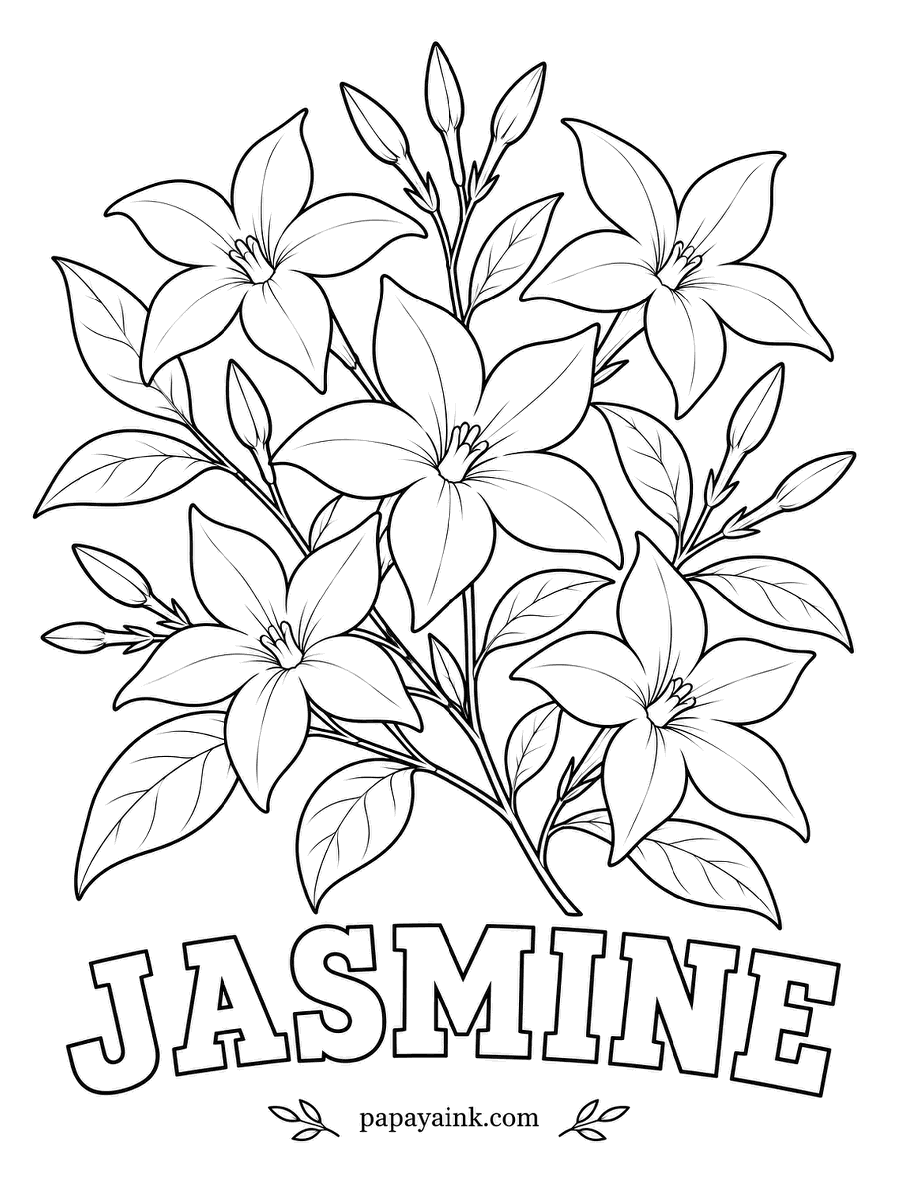 Free Flower Coloring Pages - Jasmine tea is green tea layered with fresh blossoms overnight so the tea leaves soak up the scent. Keep the starry flowers white and give the slim buds a faint pink blush, as many jasmines have.