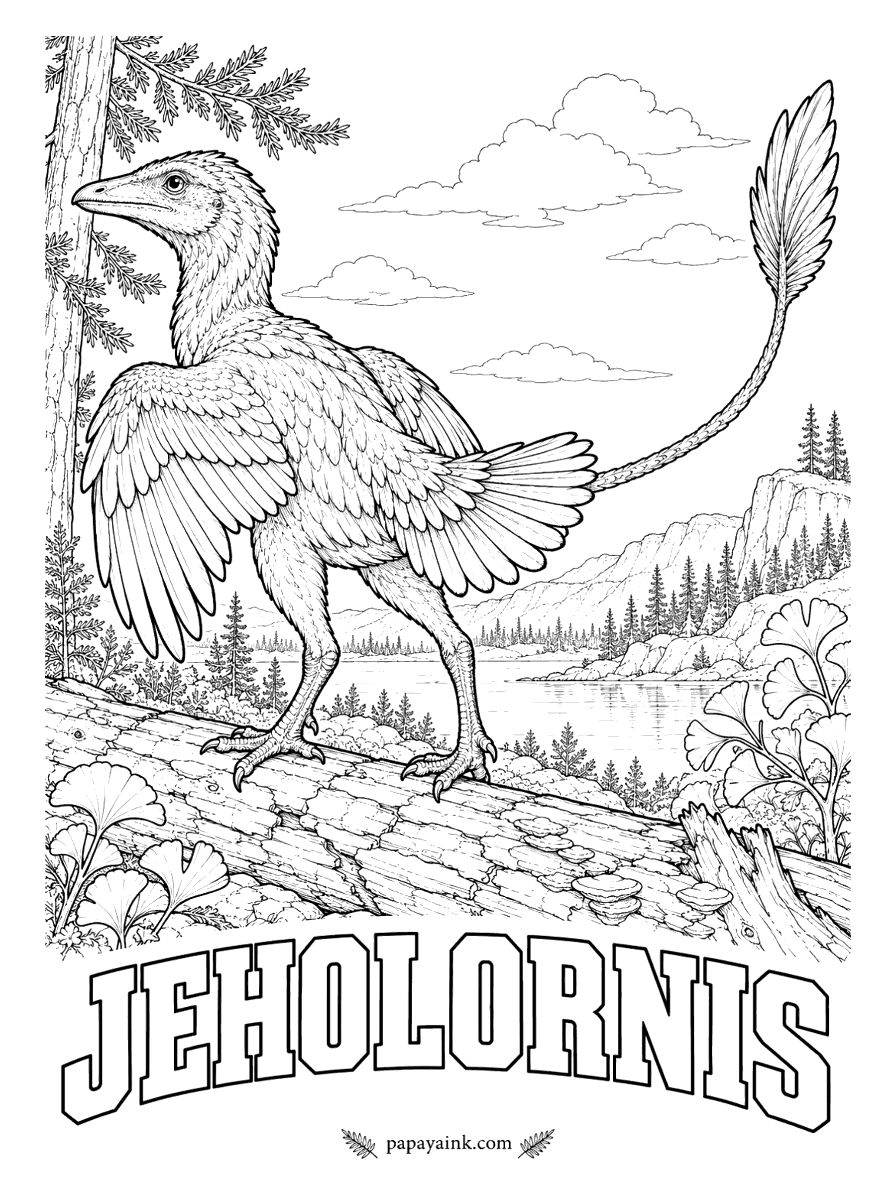 Free Printable Dinosaur Coloring Pages - Half the old plan and half the new: a bird's wings with a long bony tail, ending in a fan of feathers. Jeholornis (jeh-HOLE-OR-nis, Jehol bird) was about the size of a turkey, and seeds preserved in its stomach show what it ate. China, about 120 million years ago.