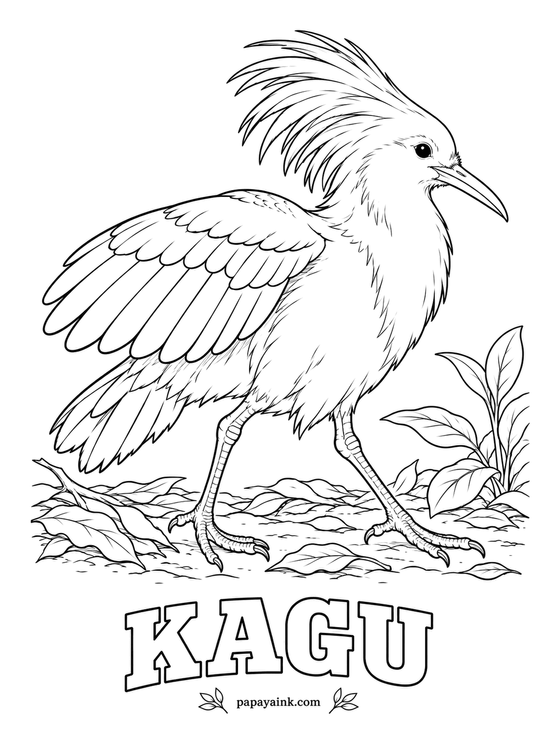Realistic Bird Coloring Pages - Barks like a small dog, lives only on New Caledonia and can barely fly - the kagu is the only bird left in its family. Here it raises its crest and half-opens its wings to show off. Ghostly pale gray, with orange-red legs and bill.