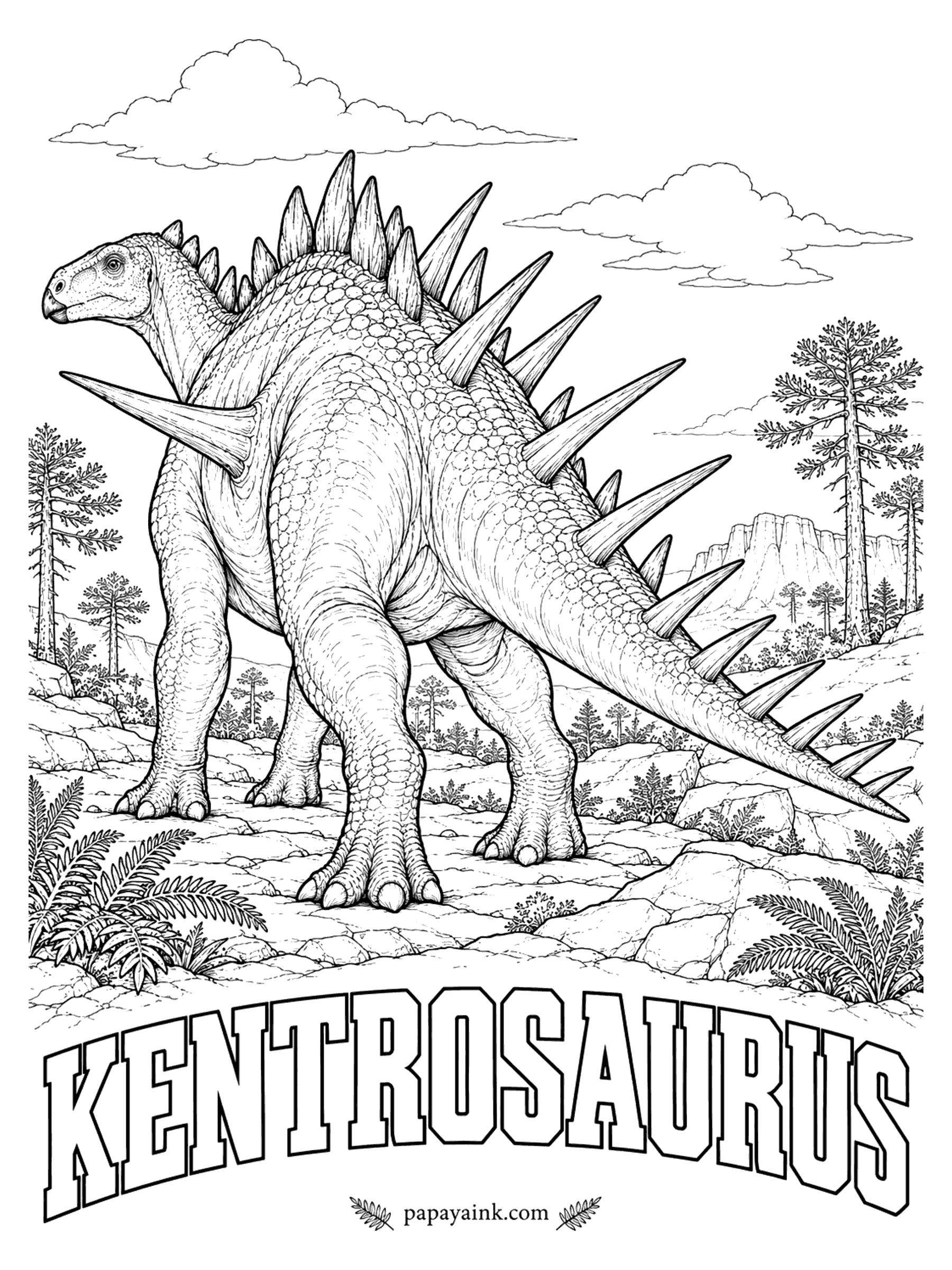 Free Printable Dinosaur Coloring Pages - Plates on the front half, spikes on the back half, and one more long spike on each side, probably at the shoulder. Kentrosaurus (KEN-troh-SORE-us, spiked lizard) was a smaller African cousin of Stegosaurus, a plant-eater about 15 feet long. Tanzania, about 152 million years ago.