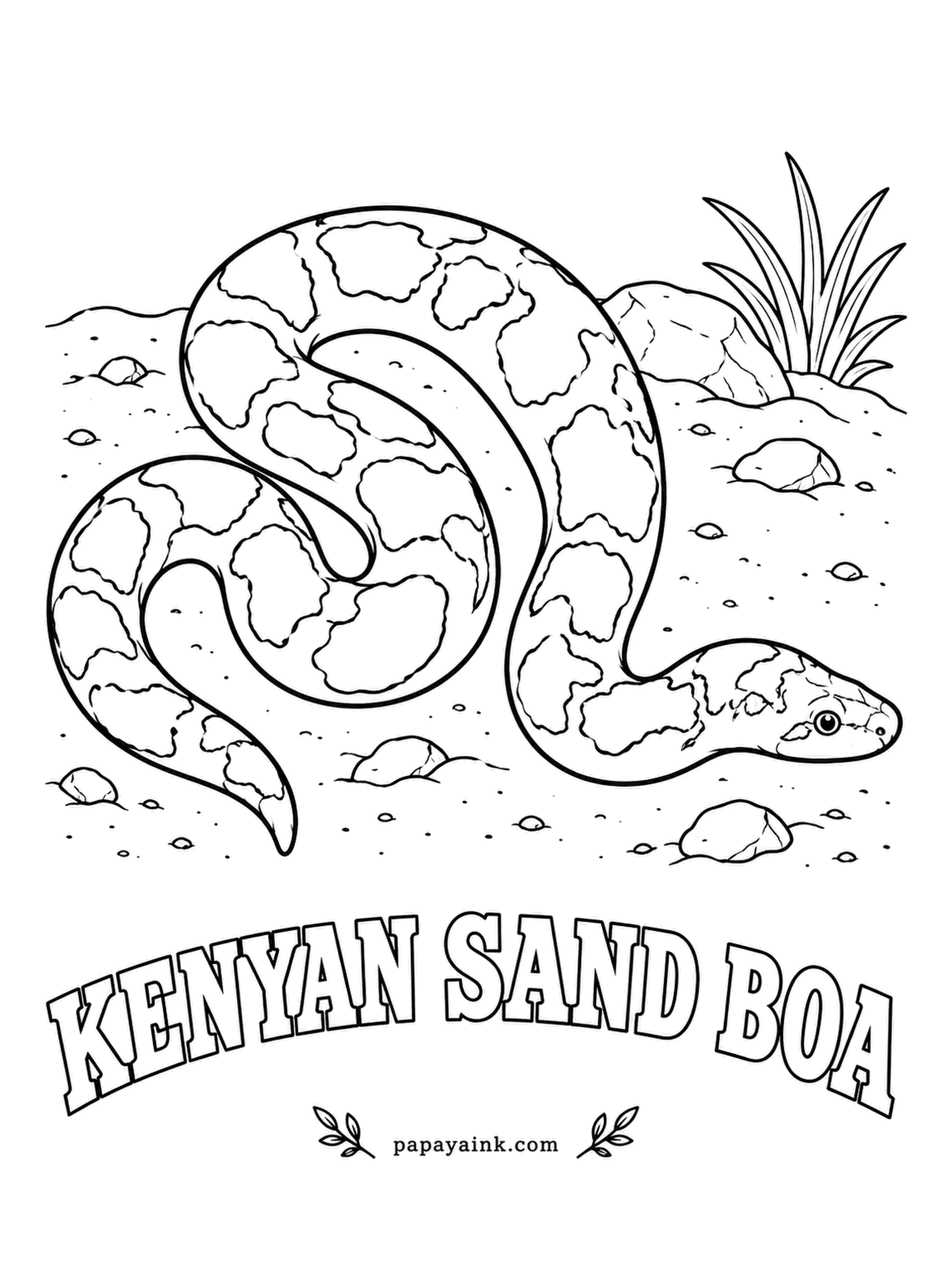 Reptile Coloring Pages - Most of its life is spent buried, with only the eyes and nostrils poking out of the sand - which is why both sit on top of the head. The Kenyan sand boa is orange or yellow with chocolate patches. Wide, simple shapes.