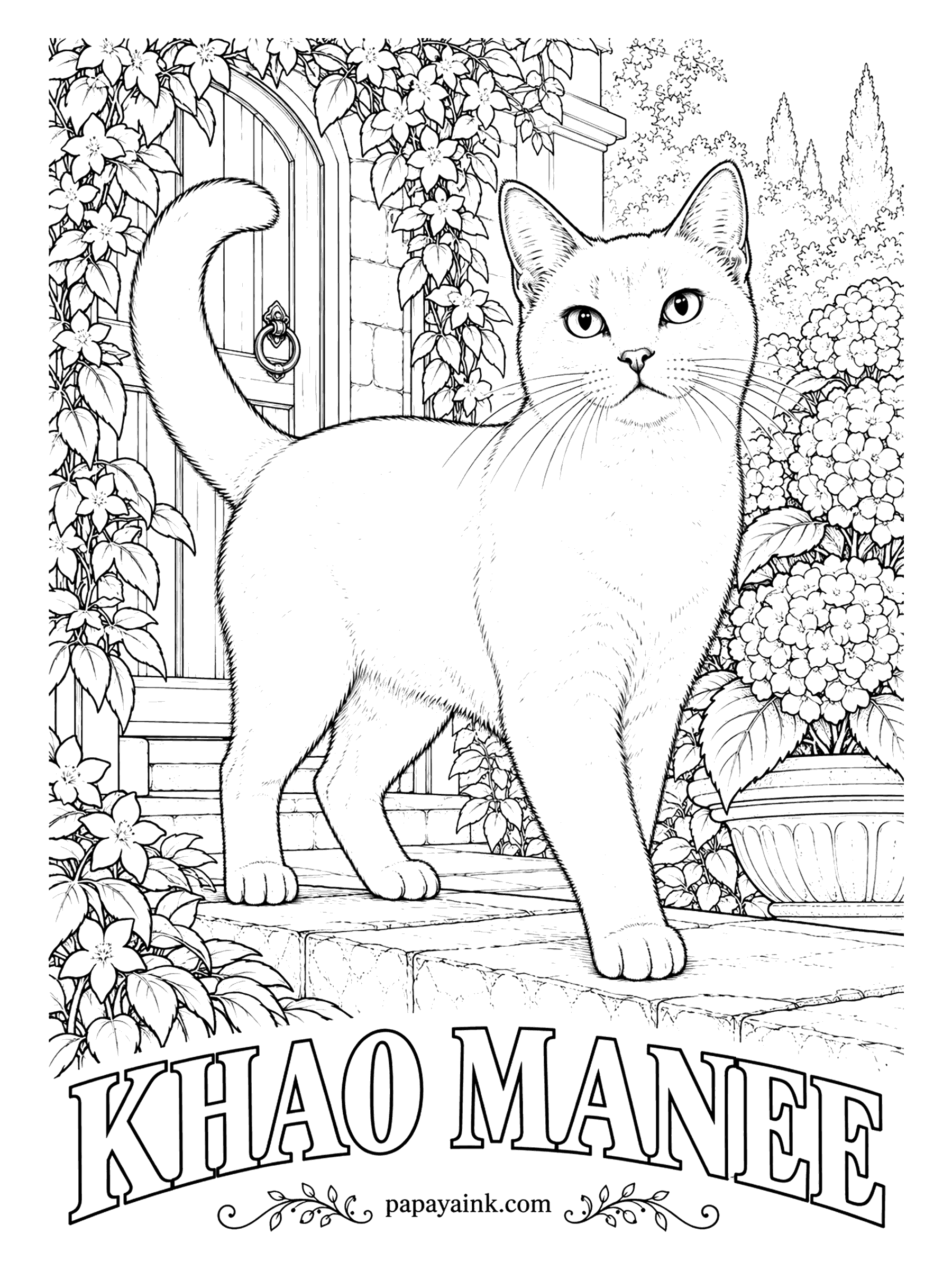 Free Printable Cat Coloring Pages - White gem is what khao manee means in Thai, and the breed is pure white with nothing added. Odd eyes, one blue and one gold, are prized; all blue or all gold are also seen. Pale gray shadows give the white coat its shape.