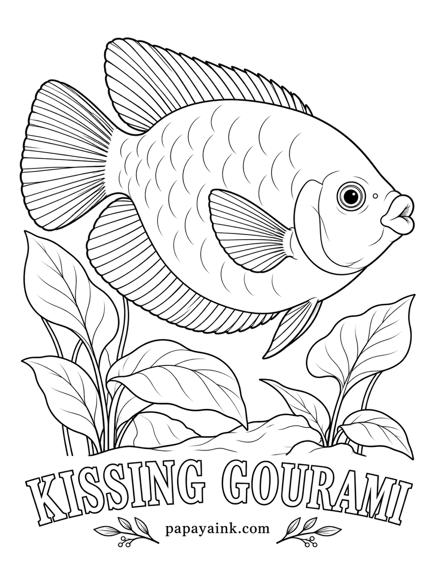 Aquarium Fish Coloring Pages - Those puckered lips are not for romance: when two kissing gouramis lock mouths, it is a shoving match over territory. The same lips scrape algae off glass and rocks. Pale pink for the popular tank form, or silvery green for the wild one.
