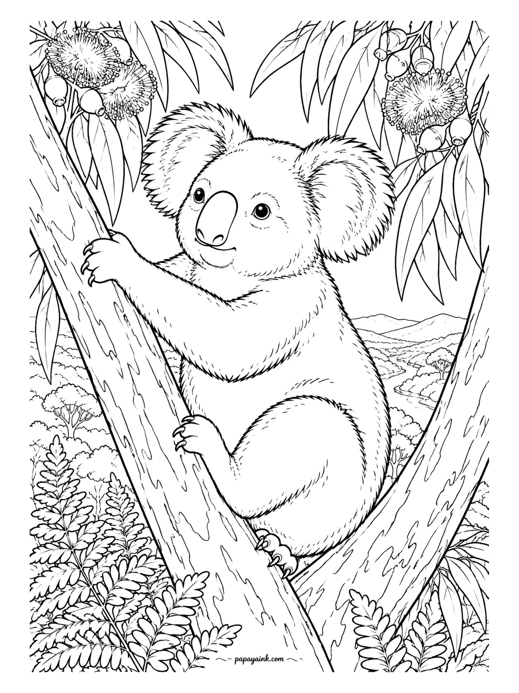 Koala Coloring Pages - This is the field-guide version: a koala hugging a eucalyptus trunk with both arms, fur drawn strand by strand, gum nuts and blossoms hanging in the corner. Gray body, white chest, and let the leaves carry all the color. Detailed.