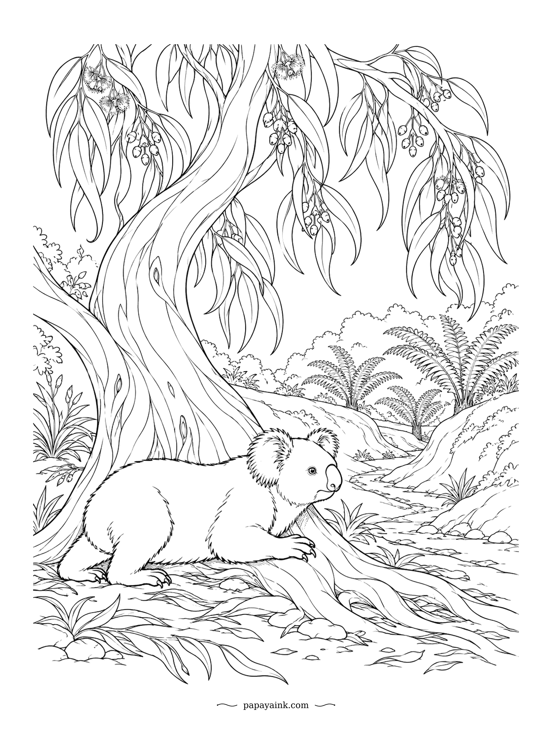 Koala Coloring Pages - On hot days, koalas press against tree trunks that run cooler than the air - a trick scientists confirmed with thermal cameras. This one has settled into the roots at the base of a big gum. Drooping leaves and gumnuts fill the top half.