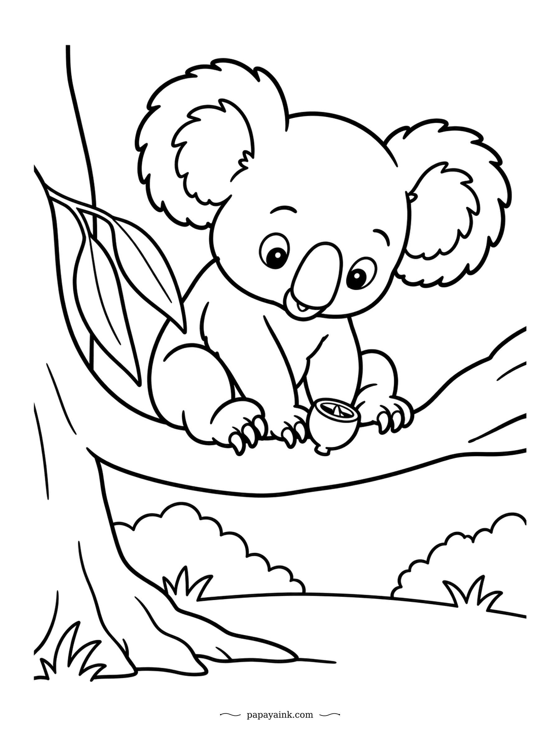 Koala Coloring Pages - Gumnuts split open at the tip to let their seeds out, and this joey has found one that already has. It turns the little cup over in its paws with great care. Huge, simple shapes - perfect for small hands.