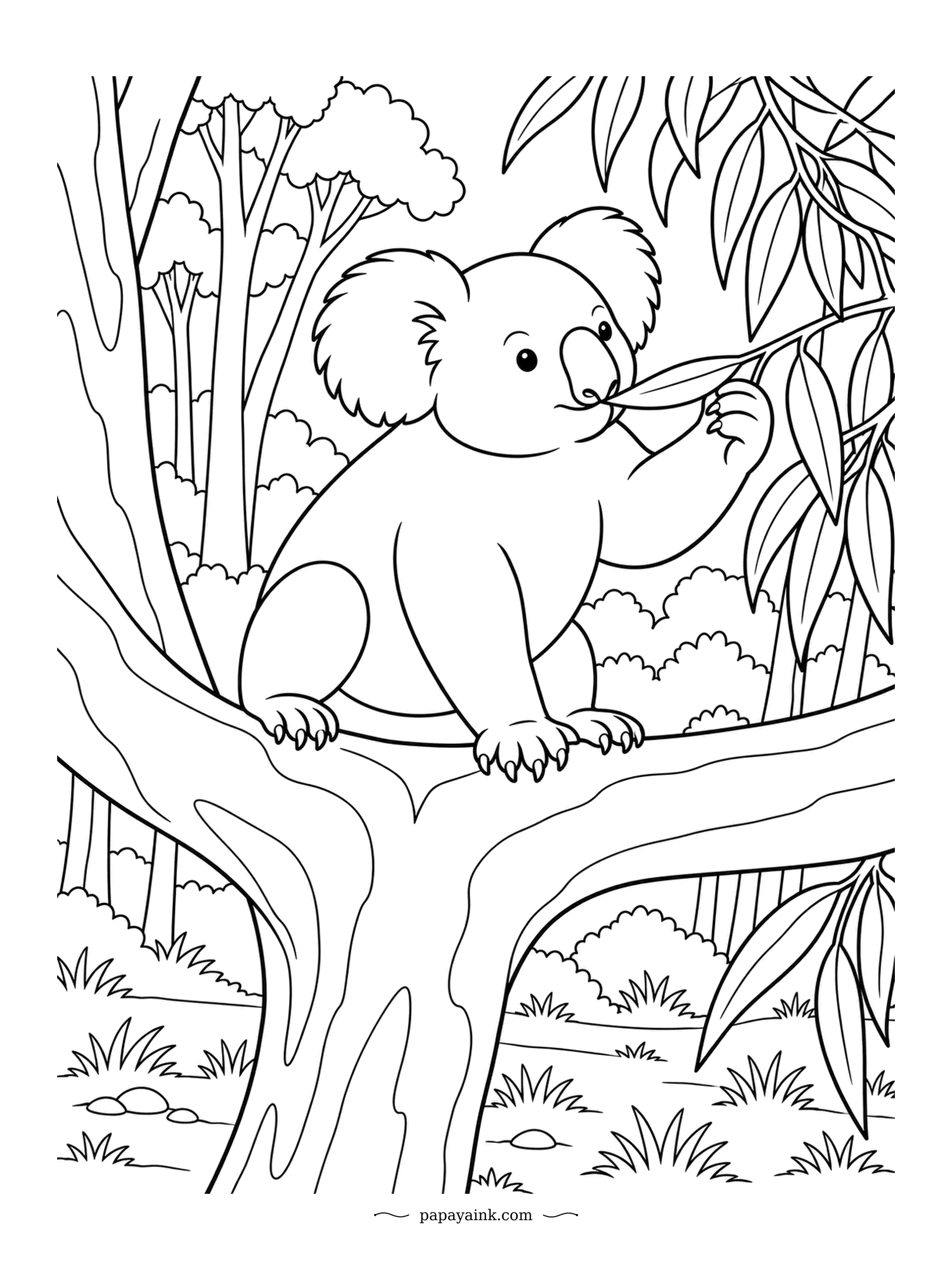Koala Coloring Pages - Lunch, pulled in by hand. The koala hooks a sprig with its claws and draws the best leaf straight to its mouth. Rough pads on its palms keep the grip from slipping. Wide forest background, easy to fill.
