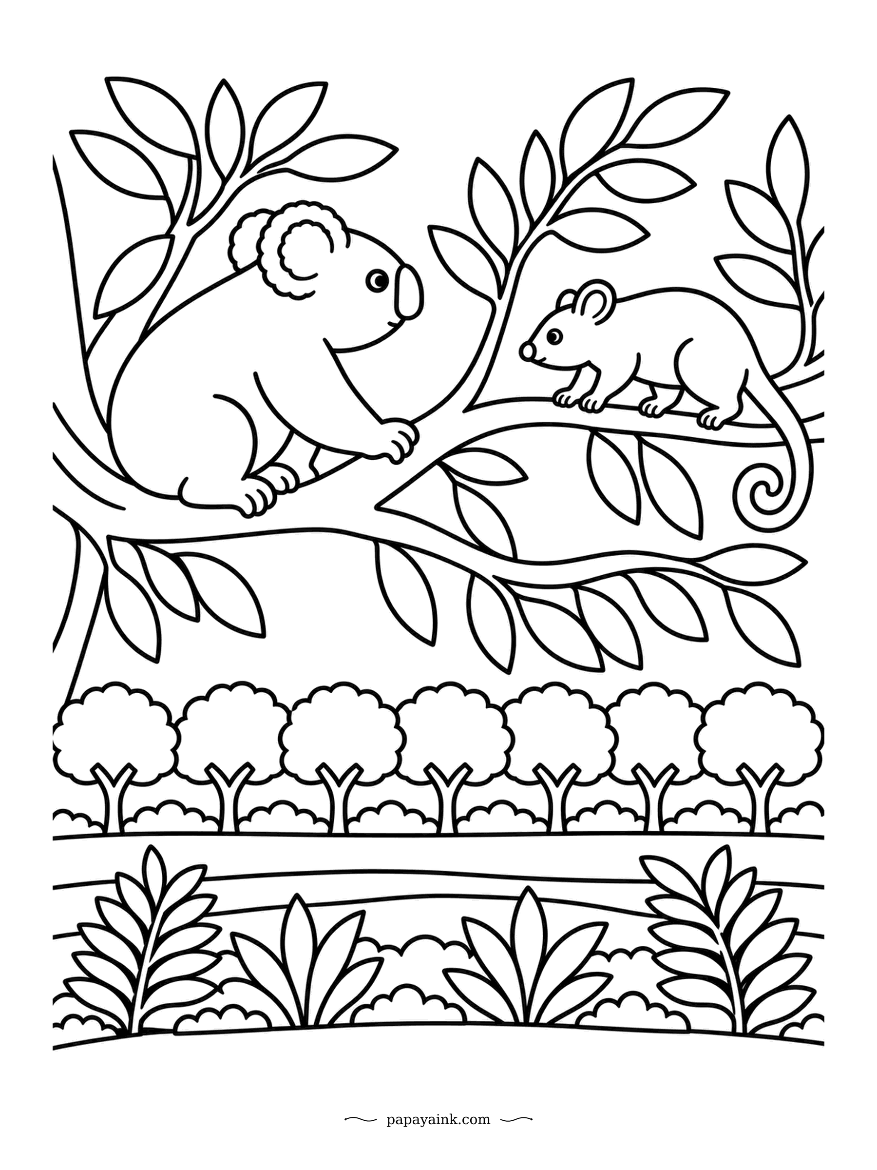 Koala Coloring Pages - A ringtail possum wants to pass, and the koala waits on its branch to let it by. In the wild the two often share the same gums. Neat rows of trees and shrubs below, like a folk-art border.