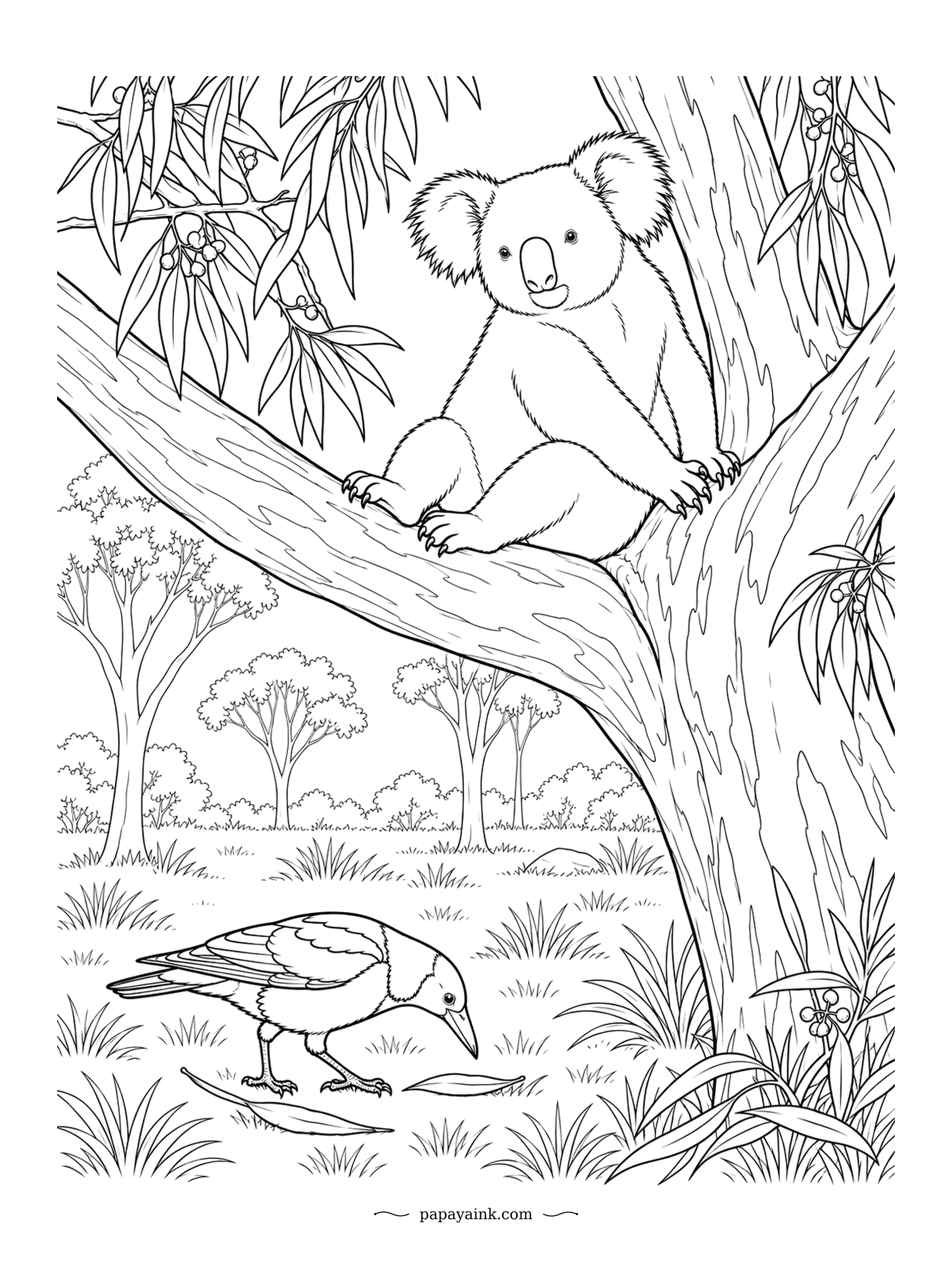 Koala Coloring Pages - Koalas have two joined toes on each hind foot that work as a built-in comb, though this one is busy settling into the fork. A magpie hunts for insects in the grass below. Detailed, realistic fur and bark.
