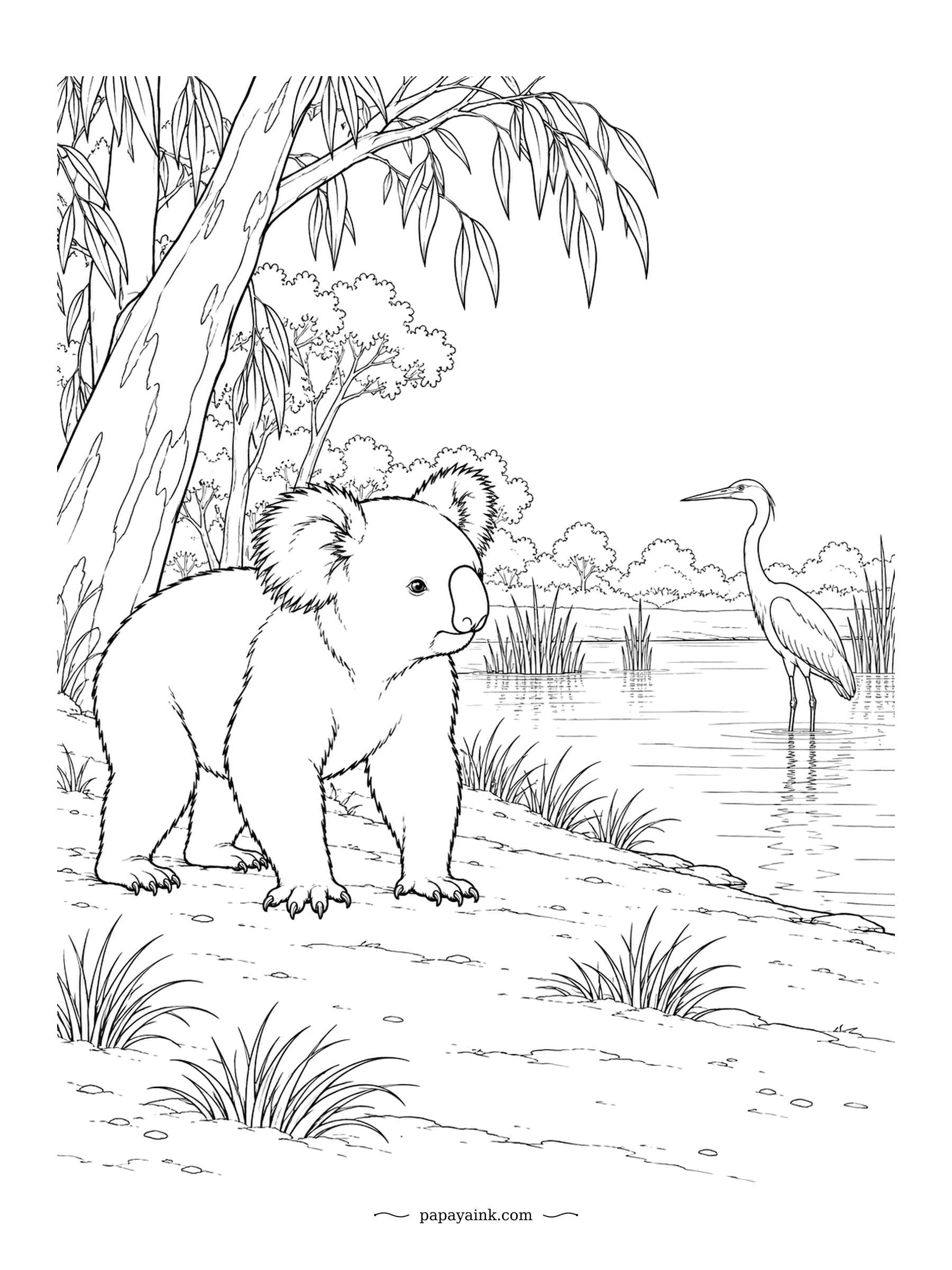 Koala Coloring Pages - A heron stalks the shallows of the lake, and the koala, out on the bank for once, watches it fish. Reeds, still water and a big gum frame the scene. Fine textures for a patient pencil.