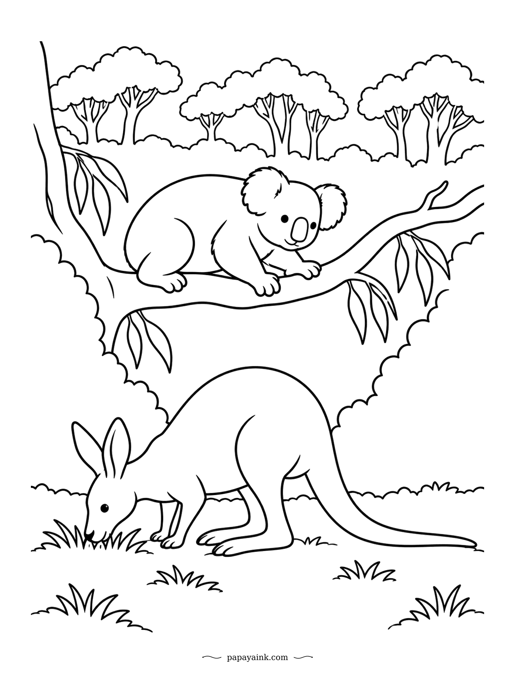 Koala Coloring Pages - Wallabies graze mostly at dawn and dusk, and this one has its head down in the grass right beneath the koala's branch. Neither pays the other much attention. Very little background - a quick, calm page.