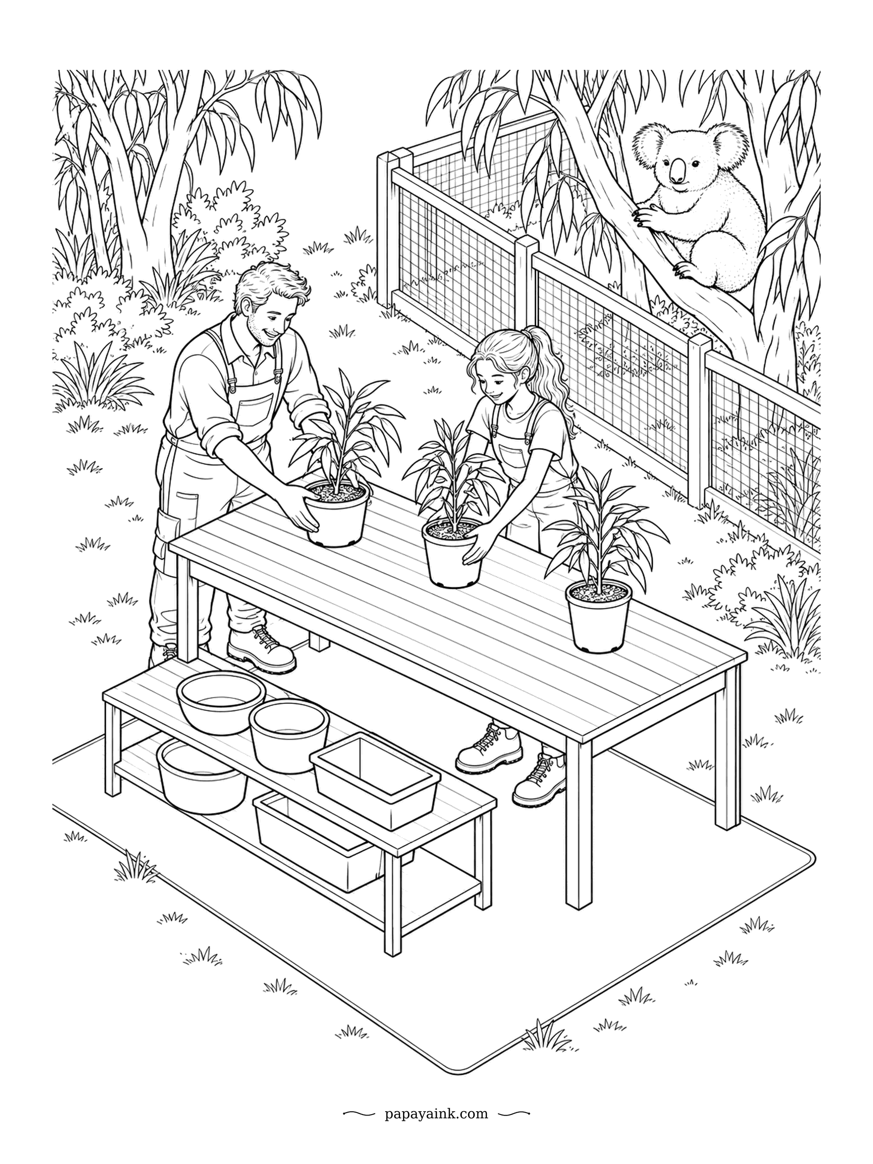 Koala Coloring Pages - New saplings for the koala enclosure: the keepers set out potted gums along the table, and the resident koala watches from its tree like a client approving the order. Isometric table, tubs and mesh fence.