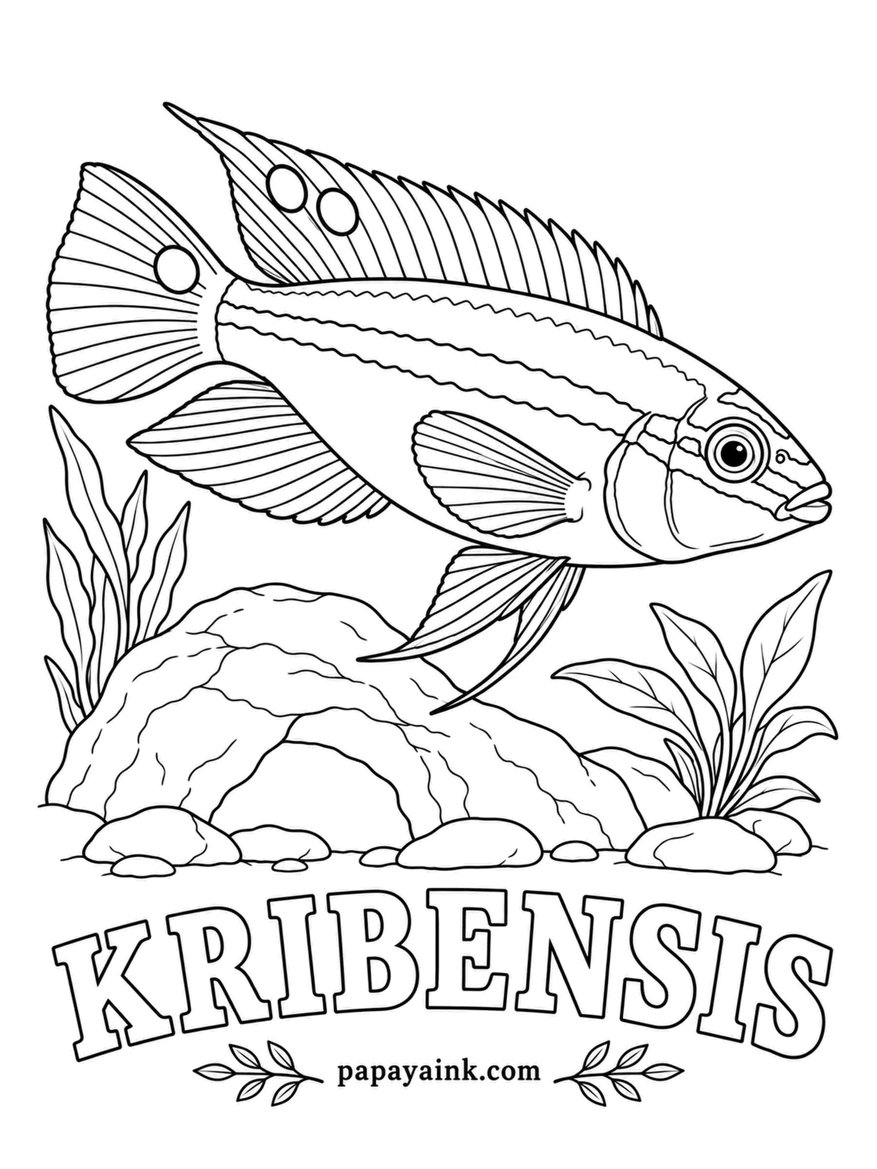 Aquarium Fish Coloring Pages - Unusually, the female outshines the male, flaunting a cherry red belly at spawning time. Kribs come from West Africa, nest in caves and herd their fry around in a tight cloud. Ring the eyespots on the fins in gold and black.