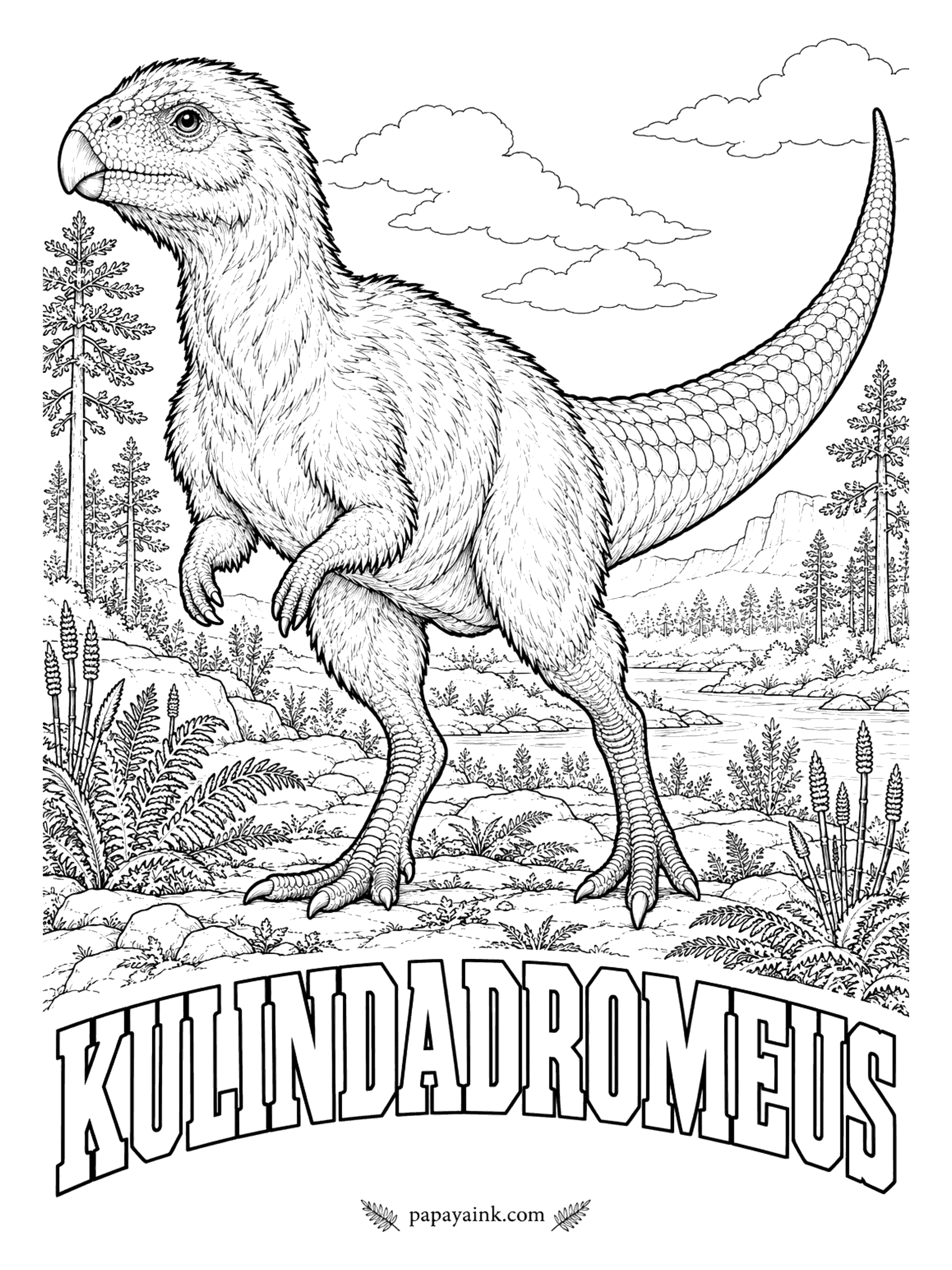 Free Printable Dinosaur Coloring Pages - Feather-like fuzz and scales on one small plant-eater: fuzz on the body, scales on the tail and shins. Kulindadromeus (koo-LIN-dah-DROH-mee-us, Kulinda runner) suggests that feather-like coverings may go back to the very first dinosaurs. About 5 feet long. Siberia, Russia, about 167 million years ago.