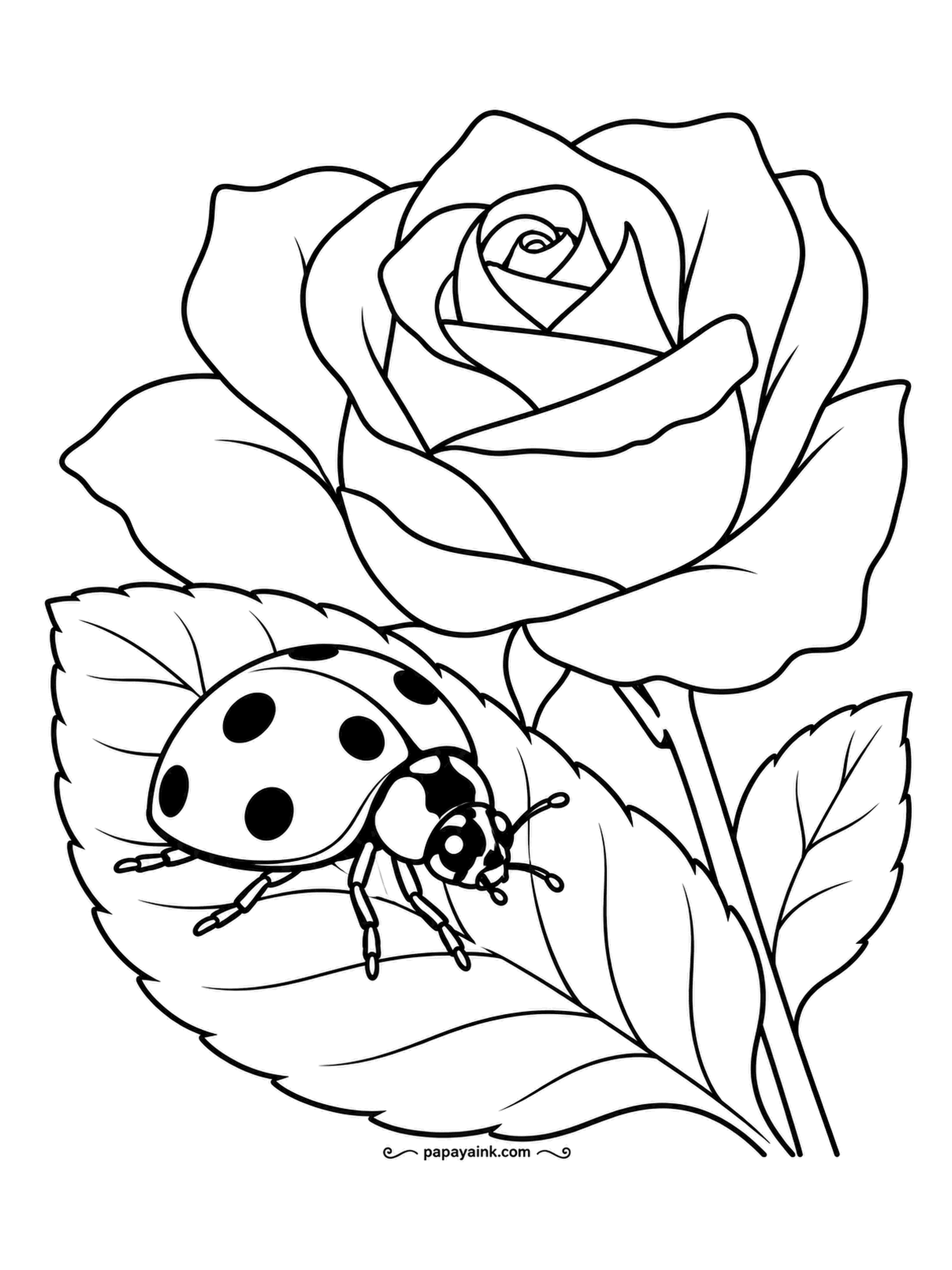 Garden Coloring Pages - One open rose above, one ladybug below on a serrated leaf, antennae out. The rose takes the time; the ladybug takes a minute - red shell, black spots, done. Petals in two shades of one color look better than six colors.