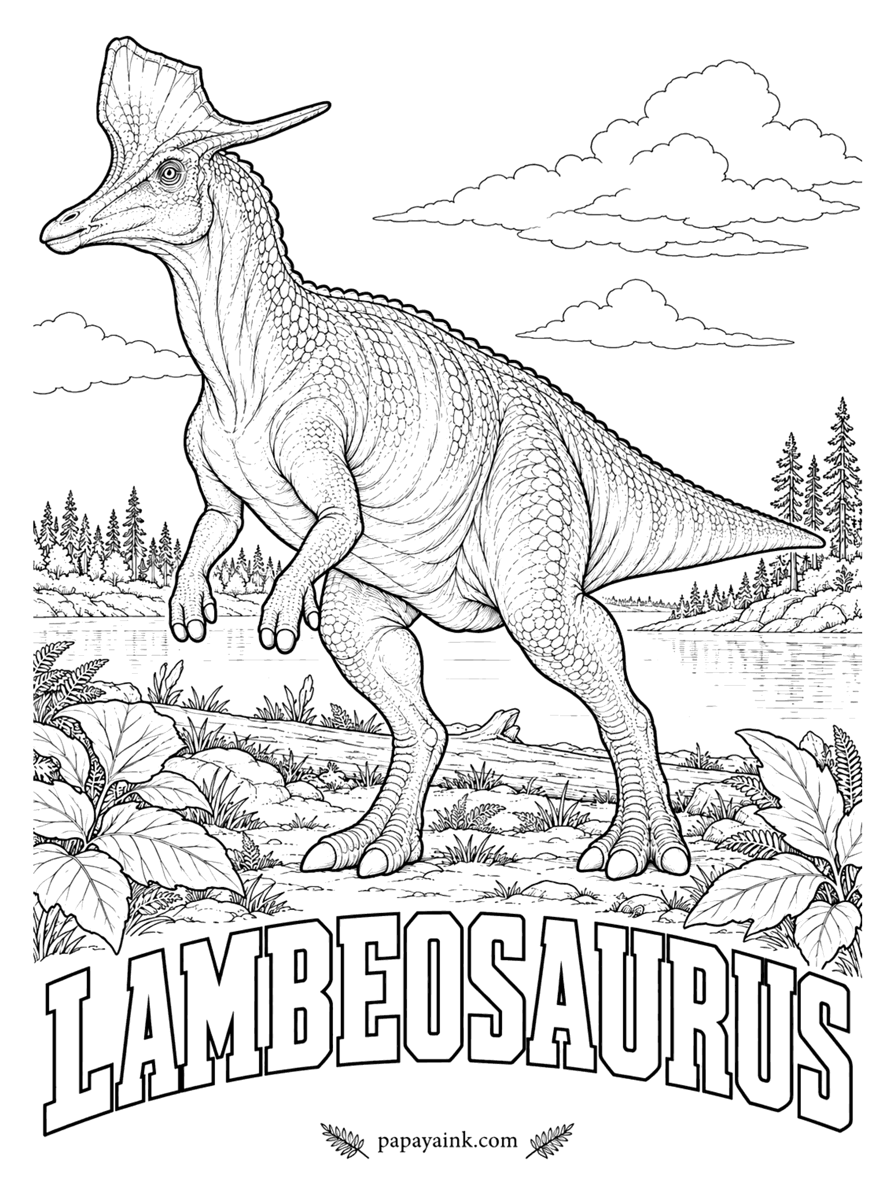 Free Printable Dinosaur Coloring Pages - Imagine a hatchet stuck in the skull, blade forward: that is the crest. Lambeosaurus (LAM-bee-oh-SORE-us, Lambe's lizard) is named for the Canadian paleontologist Lawrence Lambe, and like its close relatives Corythosaurus and Parasaurolophus it had a hollow crest with air passages inside. A plant-eater 25 to 30 feet long. Alberta, Canada, about 76 million years ago.
