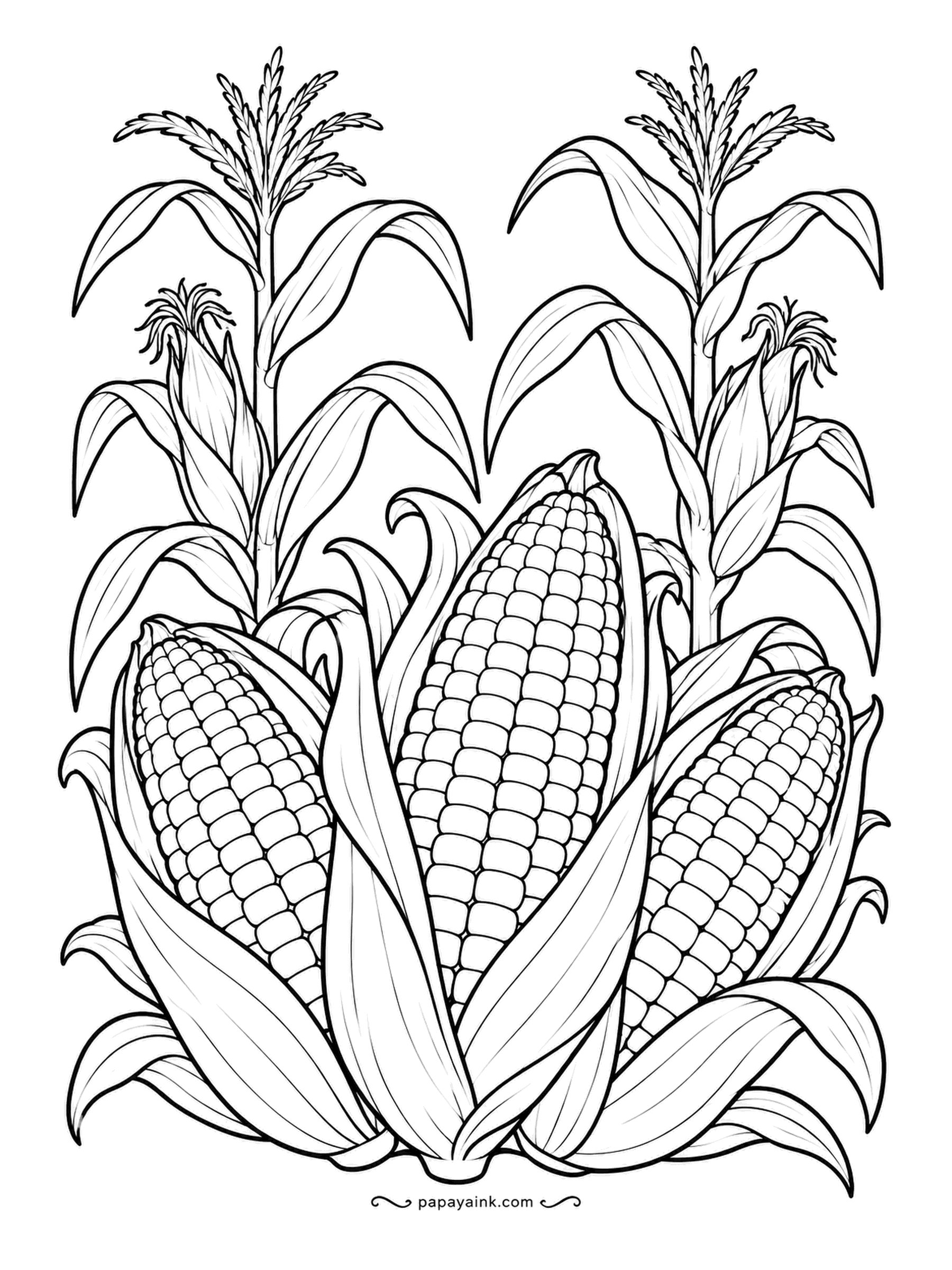 Farm Coloring Pages - Corn ears with their husks peeled back, three in front and the tasseled stalks rising behind. Every kernel is drawn, so this is a patient page. Butter yellow for the kernels and husks a shade paler than the leaves.
