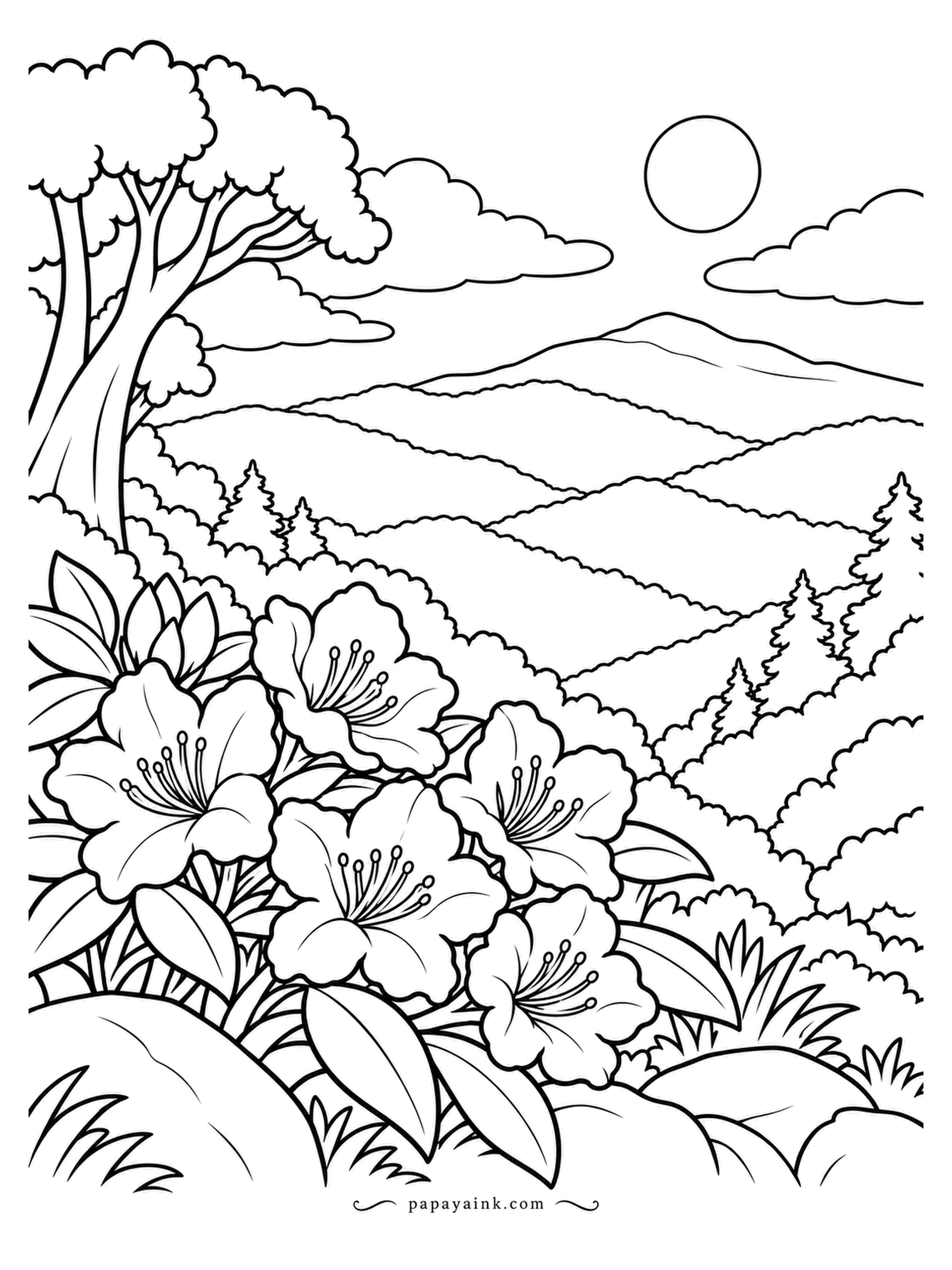 Nature Coloring Pages - Ridge after ridge of the Blue Ridge Mountains recede toward a low sun, each one paler than the last. Catawba rhododendrons bloom in front, stamens curling up from wide petals. Detailed, with many petals to fill; purple-pink flowers, hazy indigo ridges.