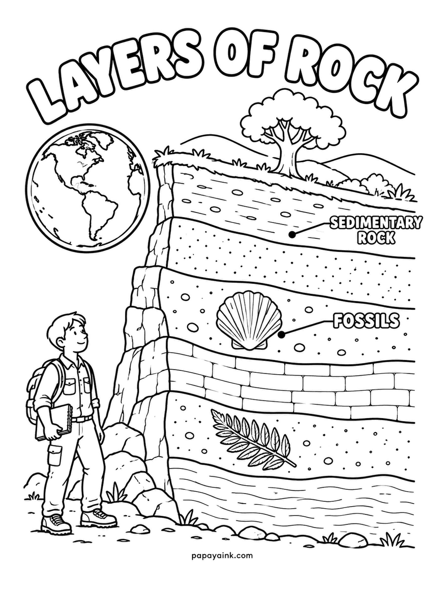 Earth Coloring Pages - Notebook in hand, a young hiker reads a cliff face like a book: sedimentary rock lies in bands, with a shell fossil in one layer and a fern in another. The lowest layers are the oldest. Vary the bands between sand, rust and gray.