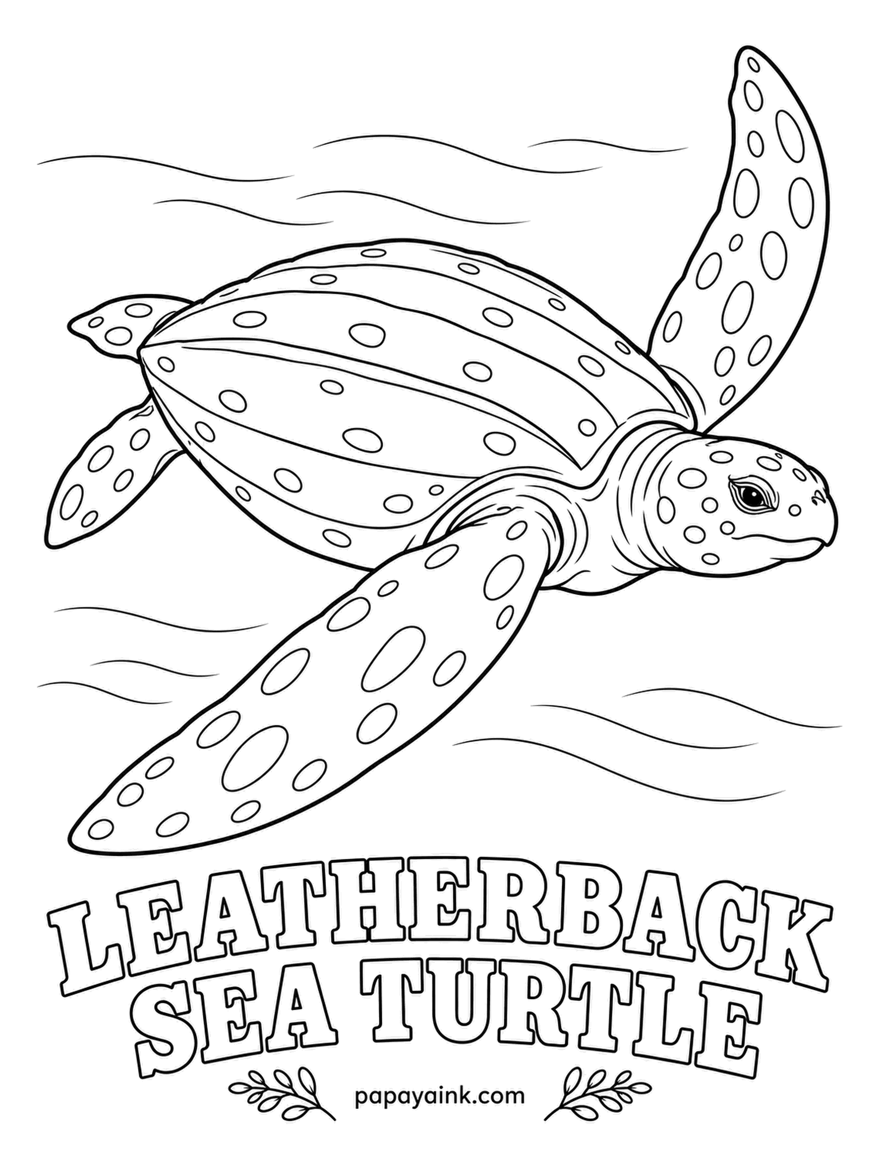 Sea Creature Coloring Pages - No hard shell at all. The biggest turtle alive wears thick oily skin over a mosaic of small bones, with ridges running down its back, and eats almost nothing but jellyfish. Near black with white spots; skip the spots and the paper handles them.