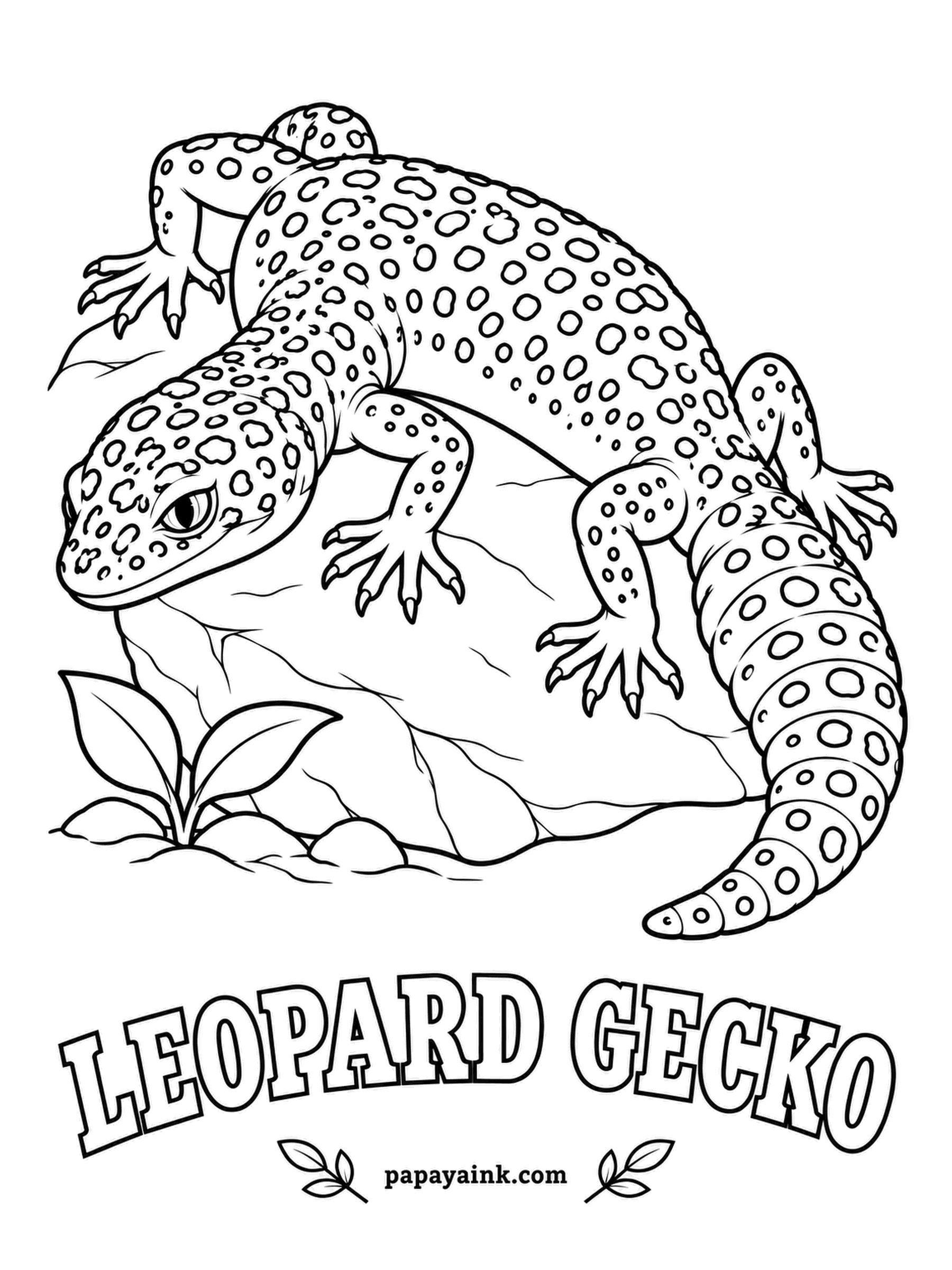Reptile Coloring Pages - Unusually for a gecko, this one blinks: leopard geckos have real eyelids. The fat tail is a pantry that stores food for lean weeks. Yellow body with black leopard spots, pale belly, and the tail banded in black and white.