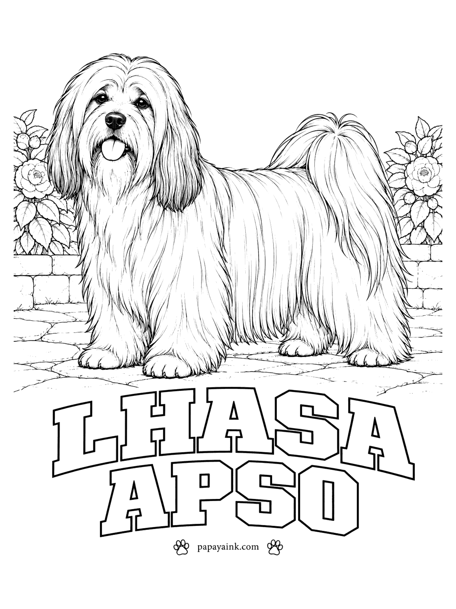 Realistic Dog Coloring Pages - For centuries the Lhasa apso watched over monasteries in Tibet, and the coat was meant for Himalayan cold. Golden, honey, cream, grizzle, slate and black all appear in the breed, often with darker tips on the ears and beard. The hair parts along the spine; shade each side of the part separately.