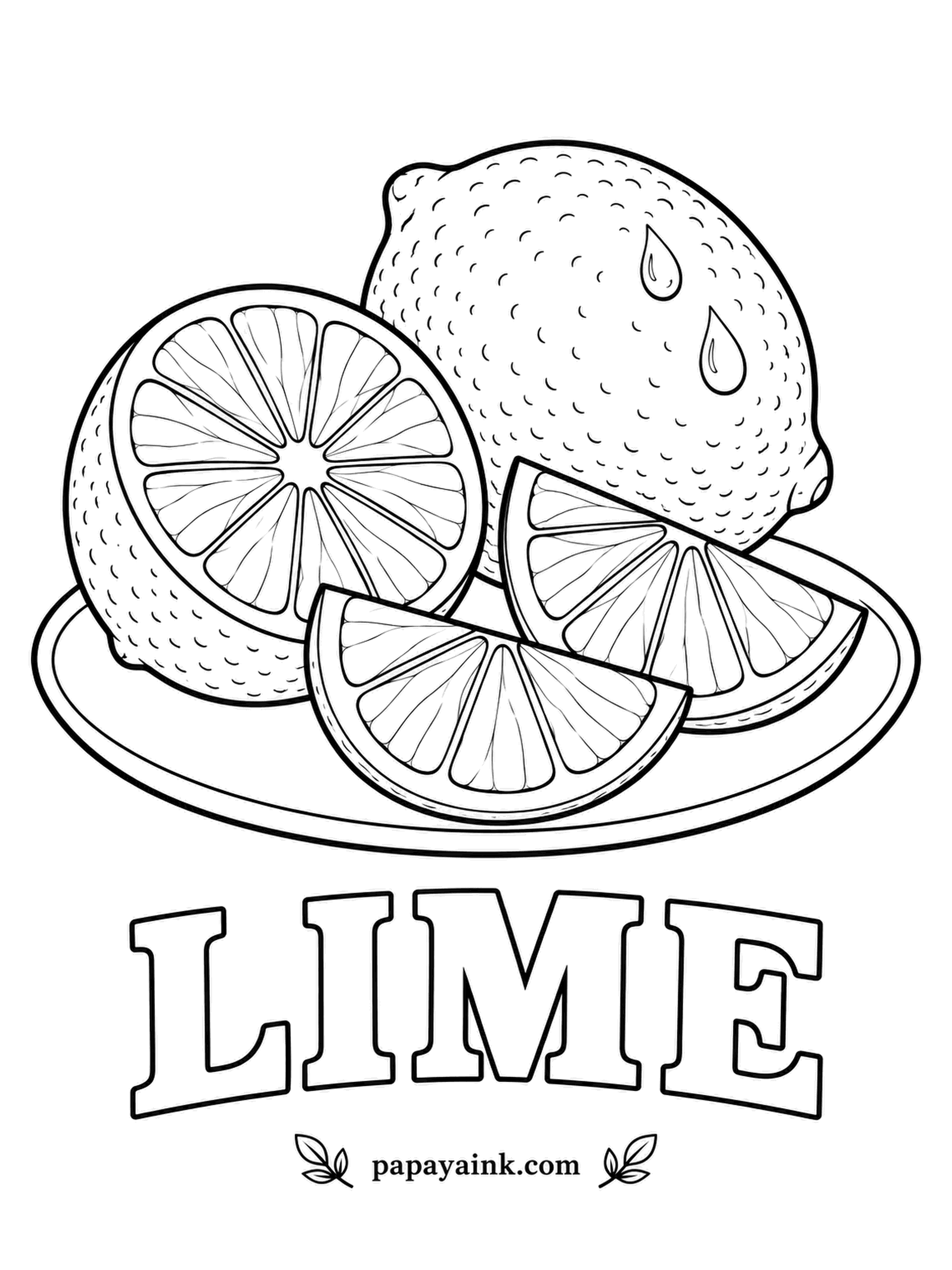 Printable Fruit Coloring Pages - Same build as the lemon, smaller and rounder. Limes stay green when ripe, so there is no yellow stage to worry about; a darker green rind and a lighter, almost yellow-green flesh keeps the two apart.