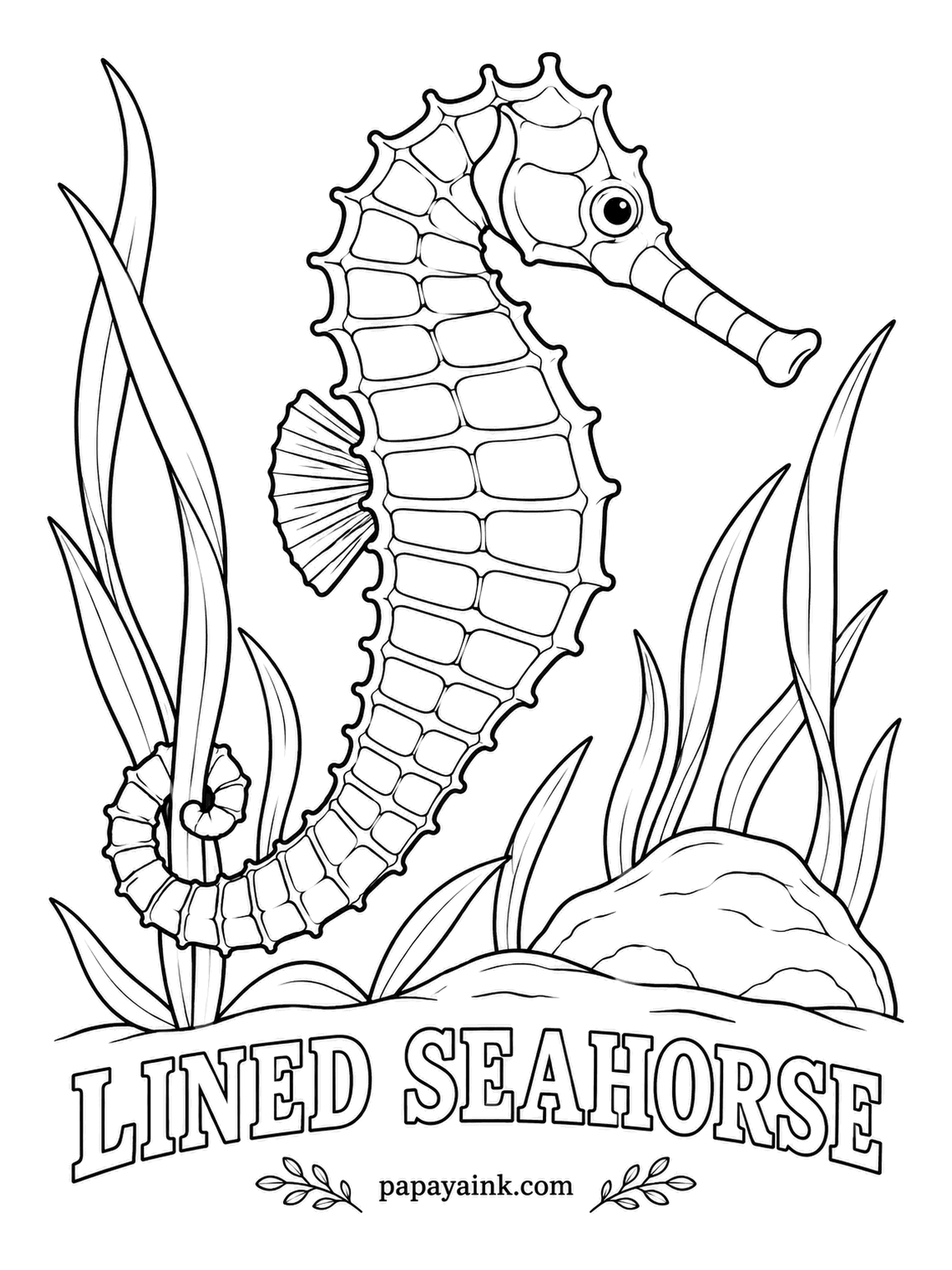 Ocean Fish Coloring Pages - Here the father gives birth: the female lays her eggs in his pouch, and he carries them until the young swim free. Lined seahorses shift color to match their seagrass - orange, yellow, olive or almost black - so any of those is correct.