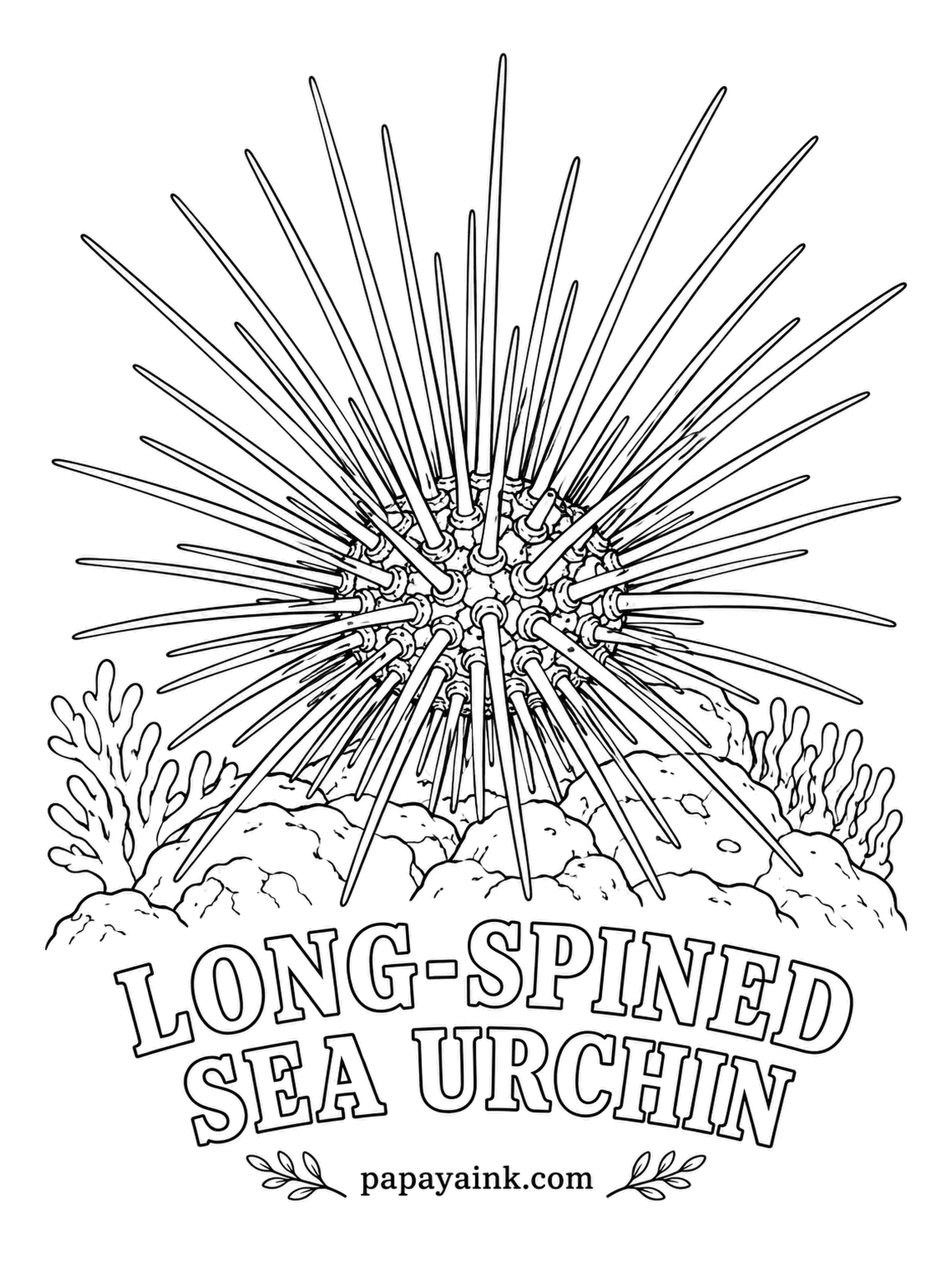 Sea Creature Coloring Pages - With no eyes at all, it still notices a passing shadow and swings its long spines toward it. Those needles can be longer than the body is wide. Glossy black spines, a dark body and a few blue dots near the top, as in life.