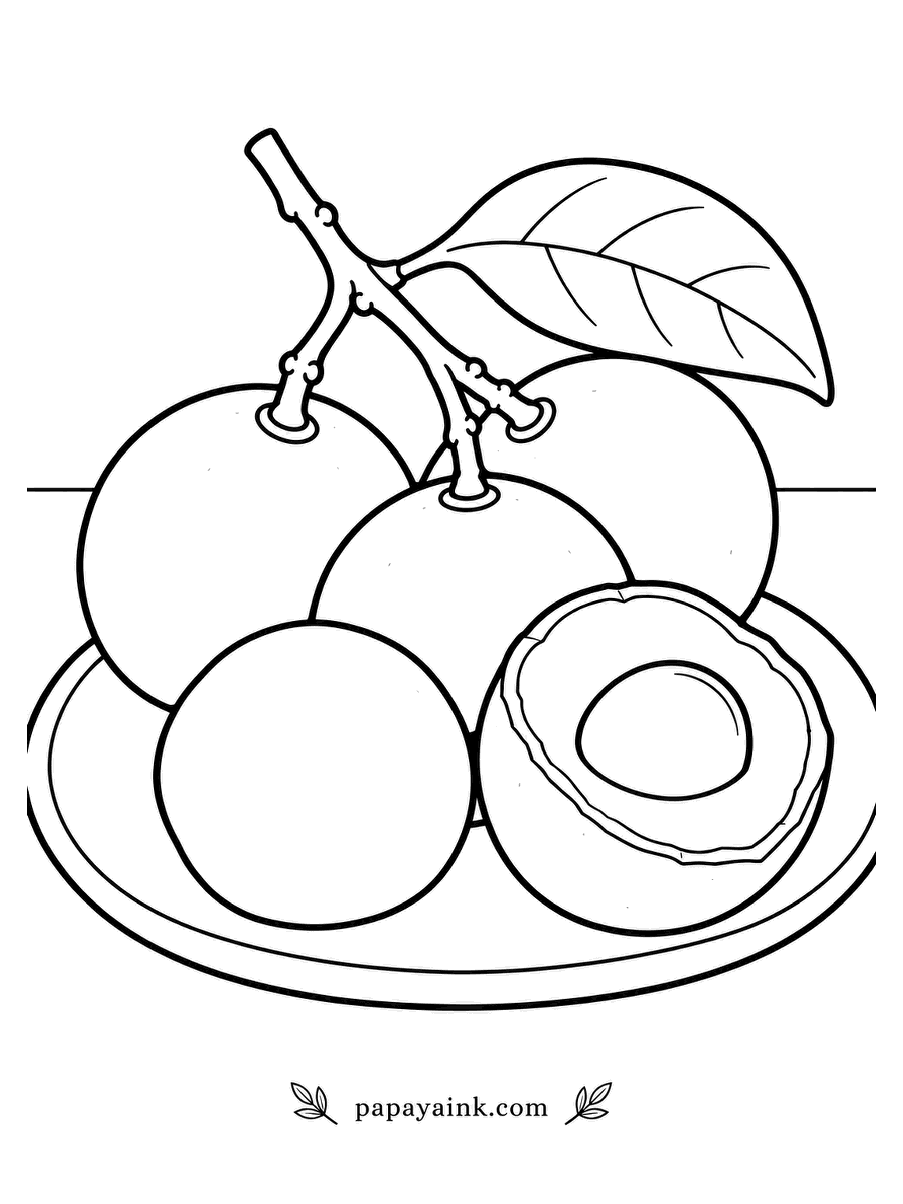 Fruit Coloring Pages - In Chinese the name means dragon eye: peel a longan and the dark seed peers through the clear flesh like a pupil. Four still cling to their twig on a breakfast plate, next to one sliced in two. Smooth tan shells and very few fine details - a calm page.
