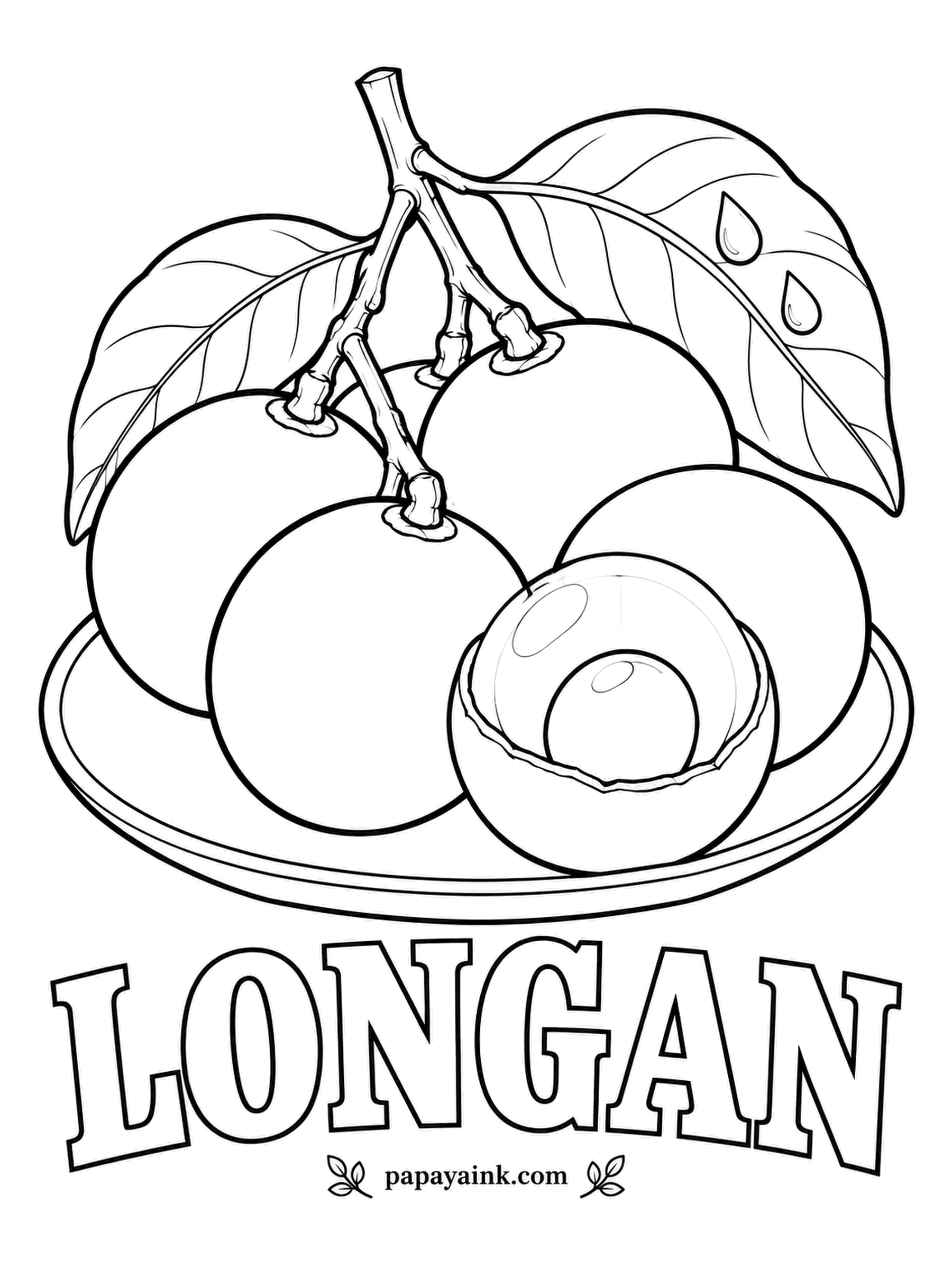 Printable Fruit Coloring Pages - Dragon eye is what the name longan means: peel one and a dark seed with a pale spot stares out of clear white flesh. Light tan to brown shells, slightly papery, hanging in a loose cluster from the stem.