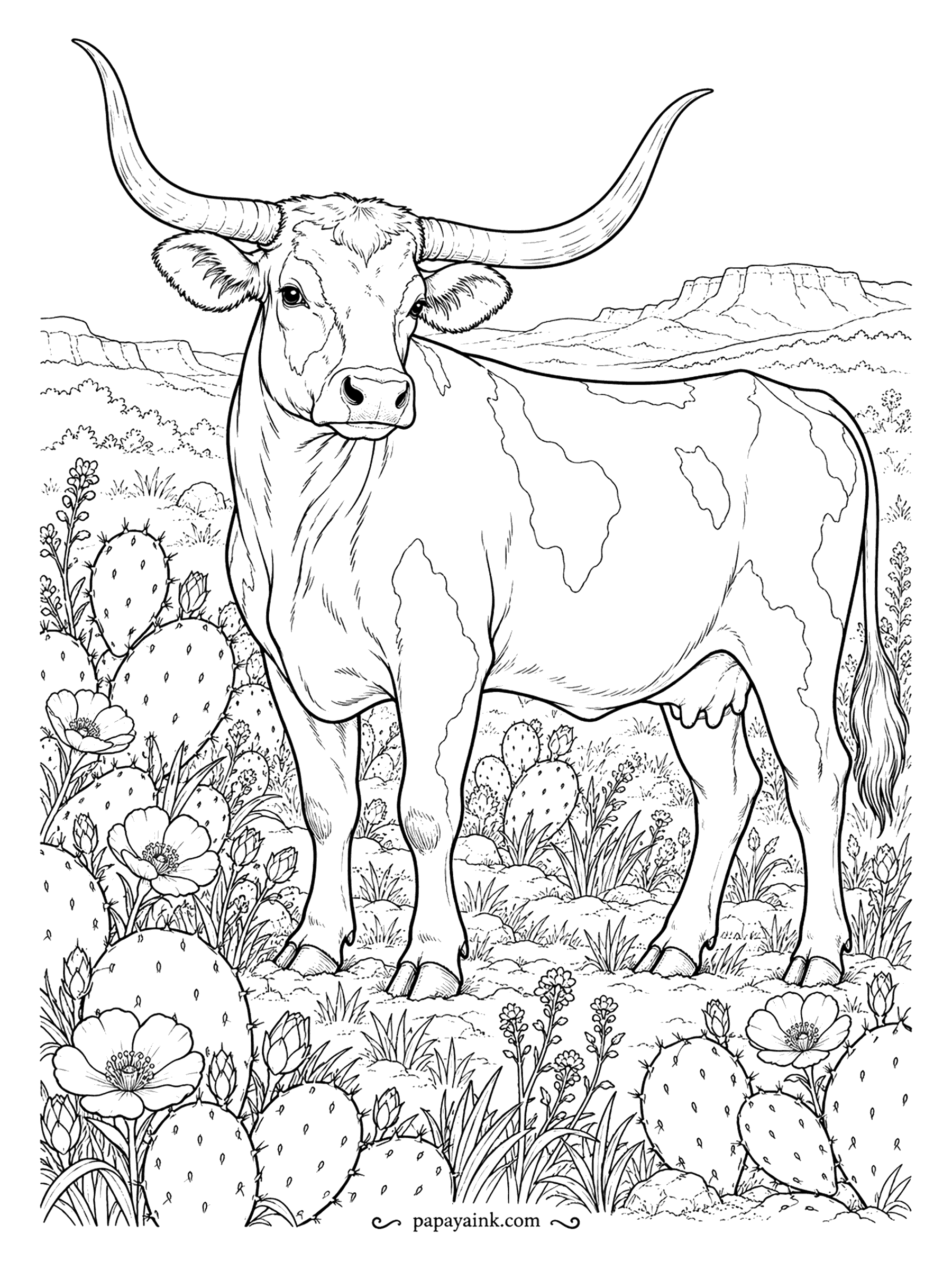 Cow Coloring Pages - Texas Longhorn on the prairie, horns spanning most of the page, prickly pear and poppies in front and a flat-topped mesa behind. Try sunset colors in the sky and the cactus pads want a dusty gray-green.