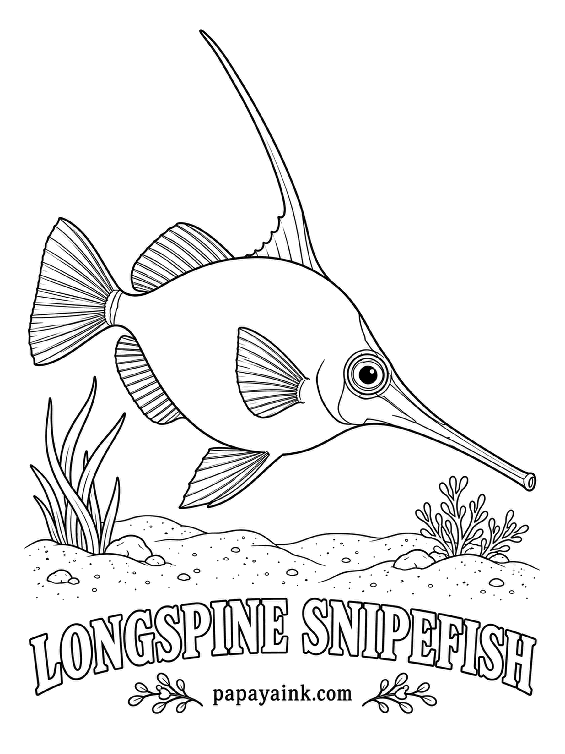 Ocean Fish Coloring Pages - Tilted head-down, it probes the sea floor with a long tube of a snout and sucks up tiny crustaceans. The tall spine on its back gives the species its name. Pinkish red above, fading to silver.