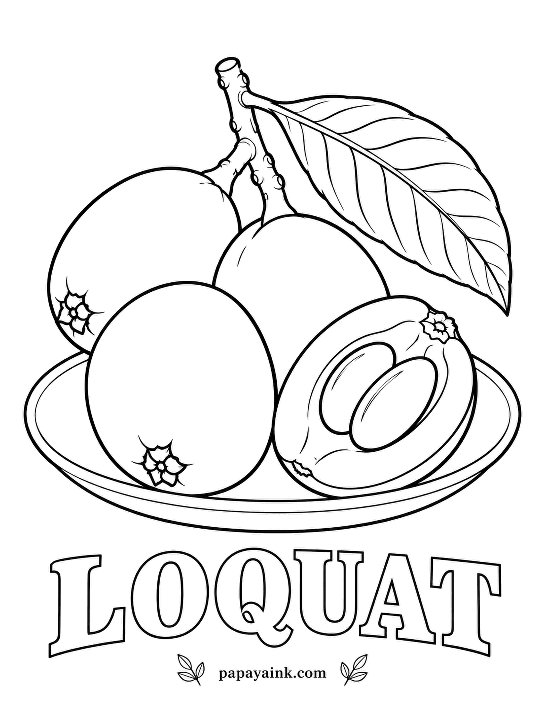 Printable Fruit Coloring Pages - Loquats ripen in late winter or early spring, when almost nothing else is fruiting. Apricot-orange skin, juicy yellow-orange flesh and big polished brown seeds that take up much of the space inside.